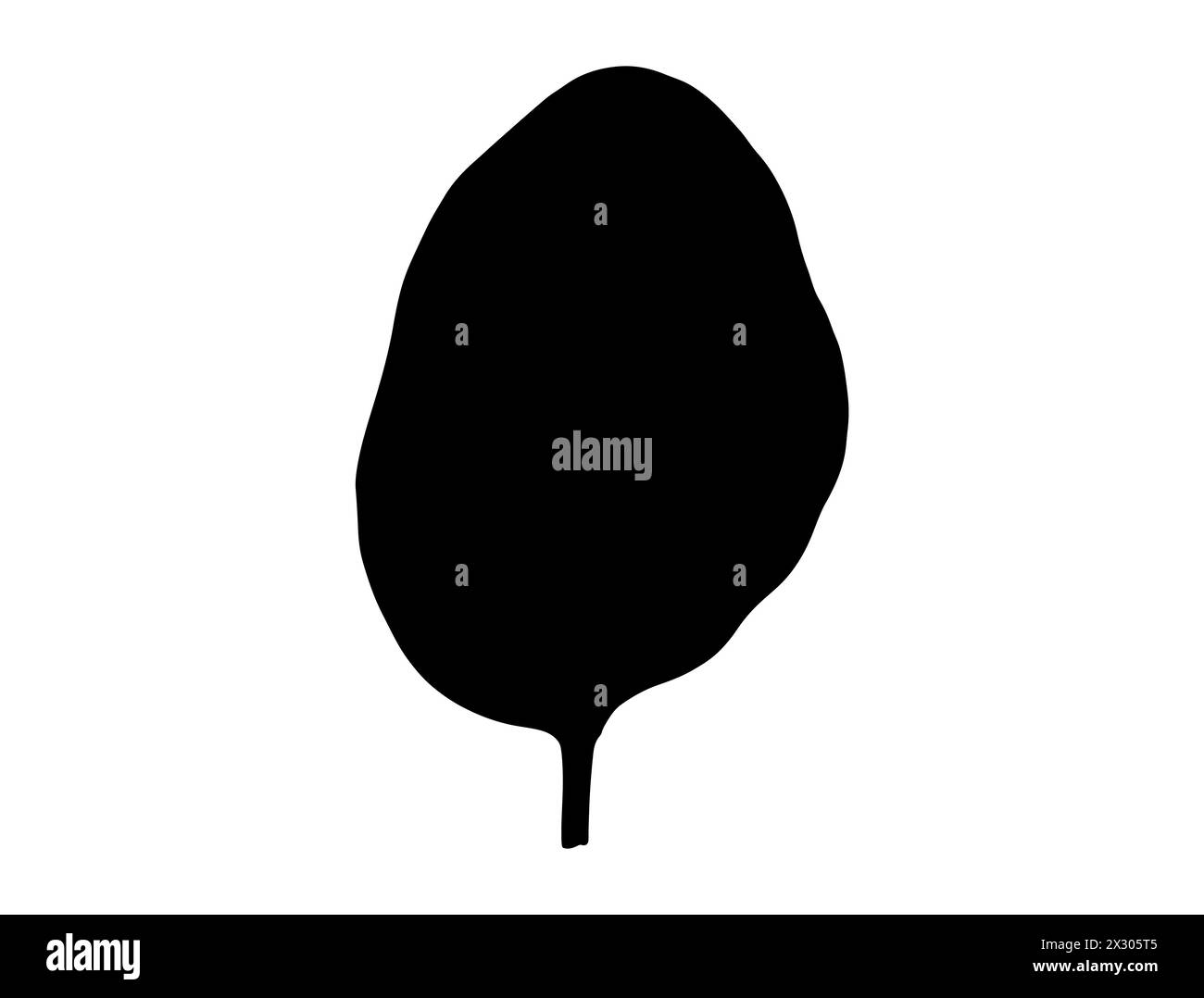 Grafica vettoriale della silhouette delle foglie di spinaci Illustrazione Vettoriale