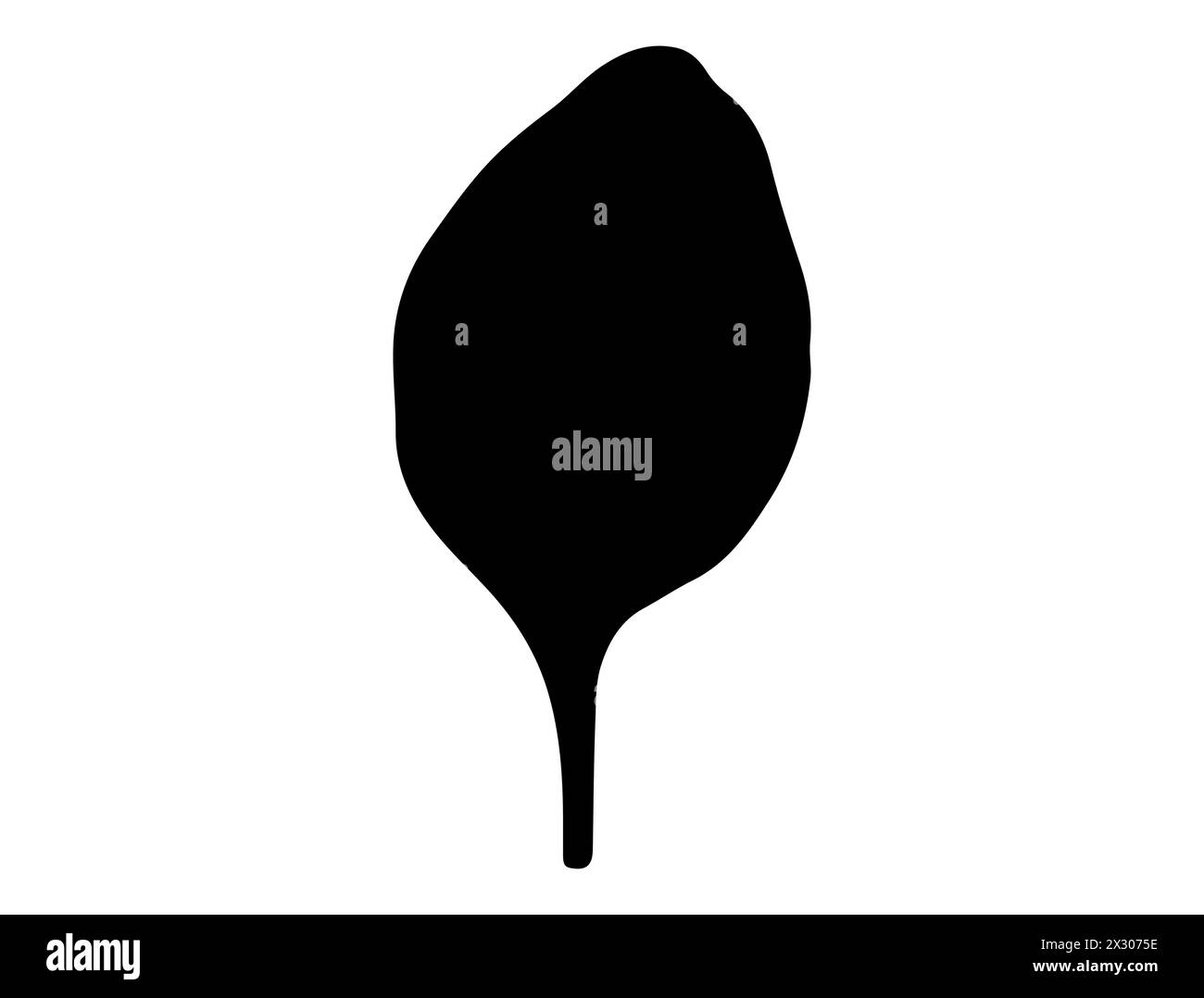 Grafica vettoriale della silhouette delle foglie di spinaci Illustrazione Vettoriale