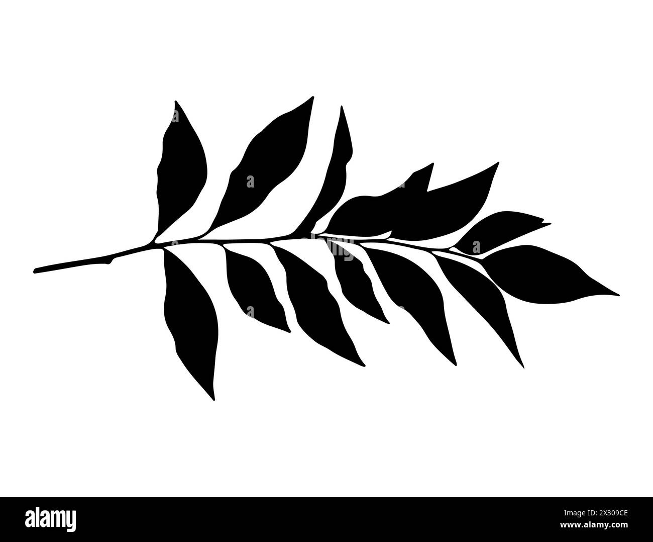 Ramo con grafica vettoriale della silhouette delle foglie Illustrazione Vettoriale