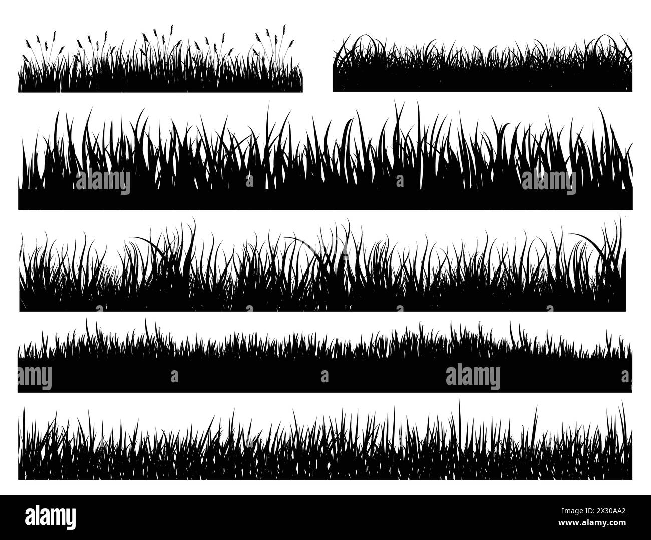 Grafica vettoriale sagoma bordo erba Illustrazione Vettoriale