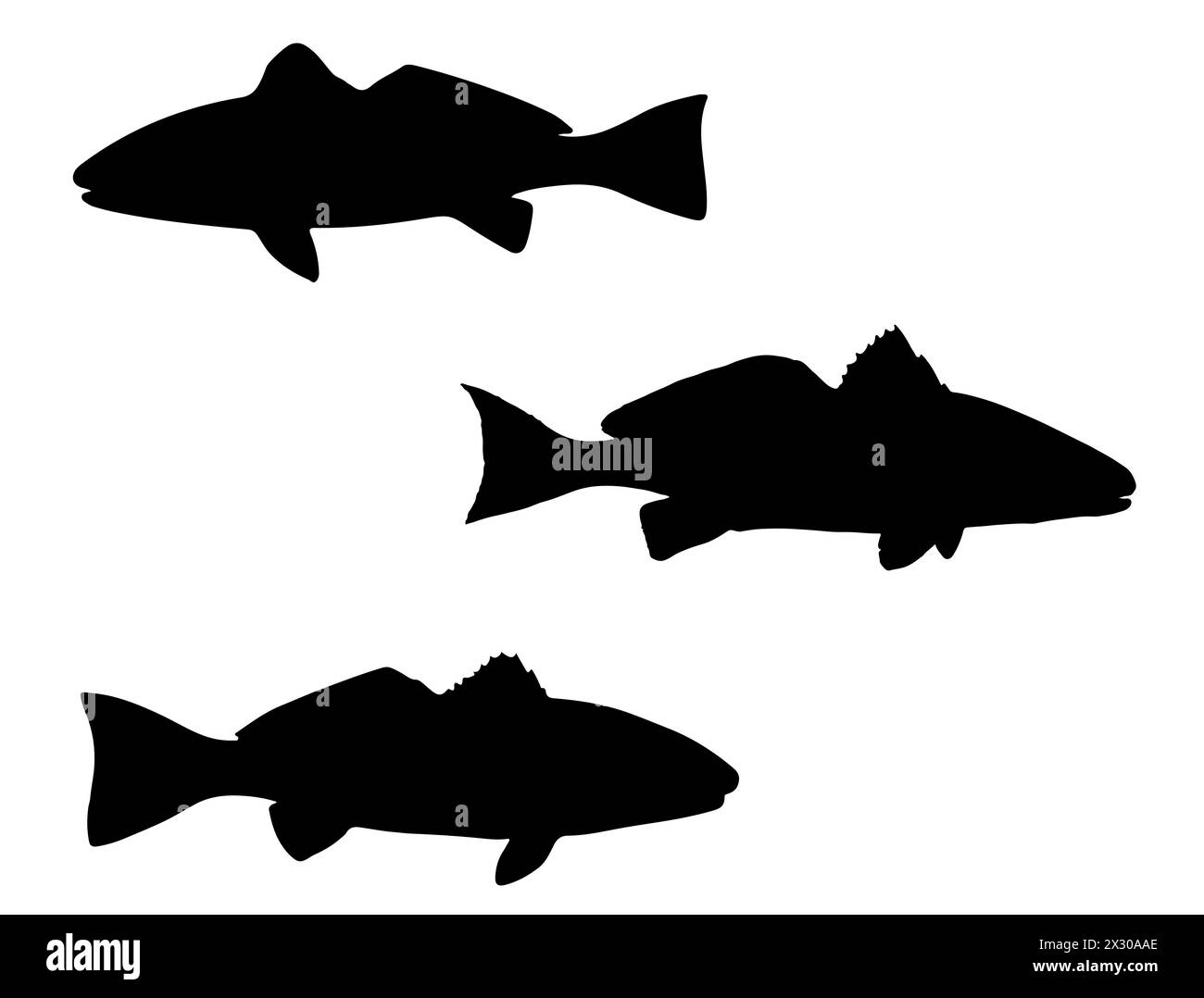 Grafica vettoriale con sagoma rossa di pesce tamburo Illustrazione Vettoriale