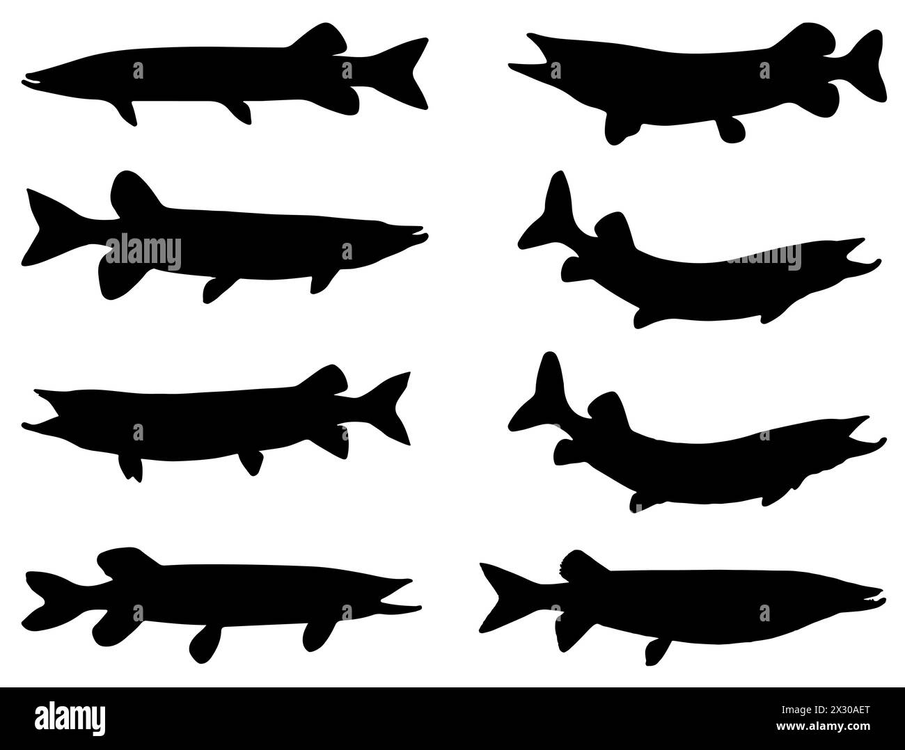 Muskellunge Fish silhouette grafica vettoriale Illustrazione Vettoriale