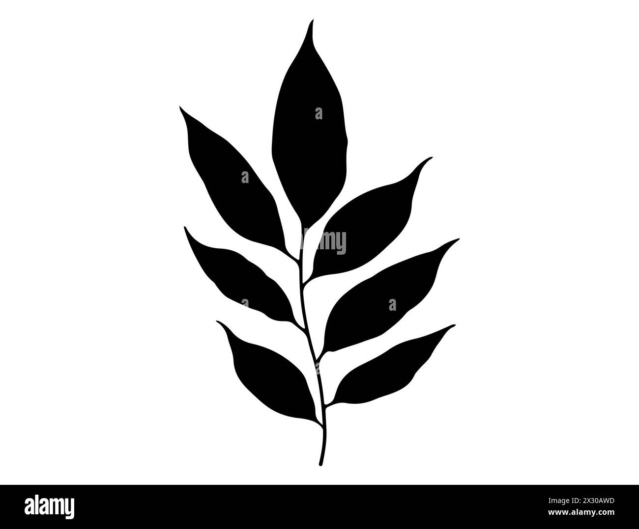 Ramo con grafica vettoriale della silhouette delle foglie Illustrazione Vettoriale