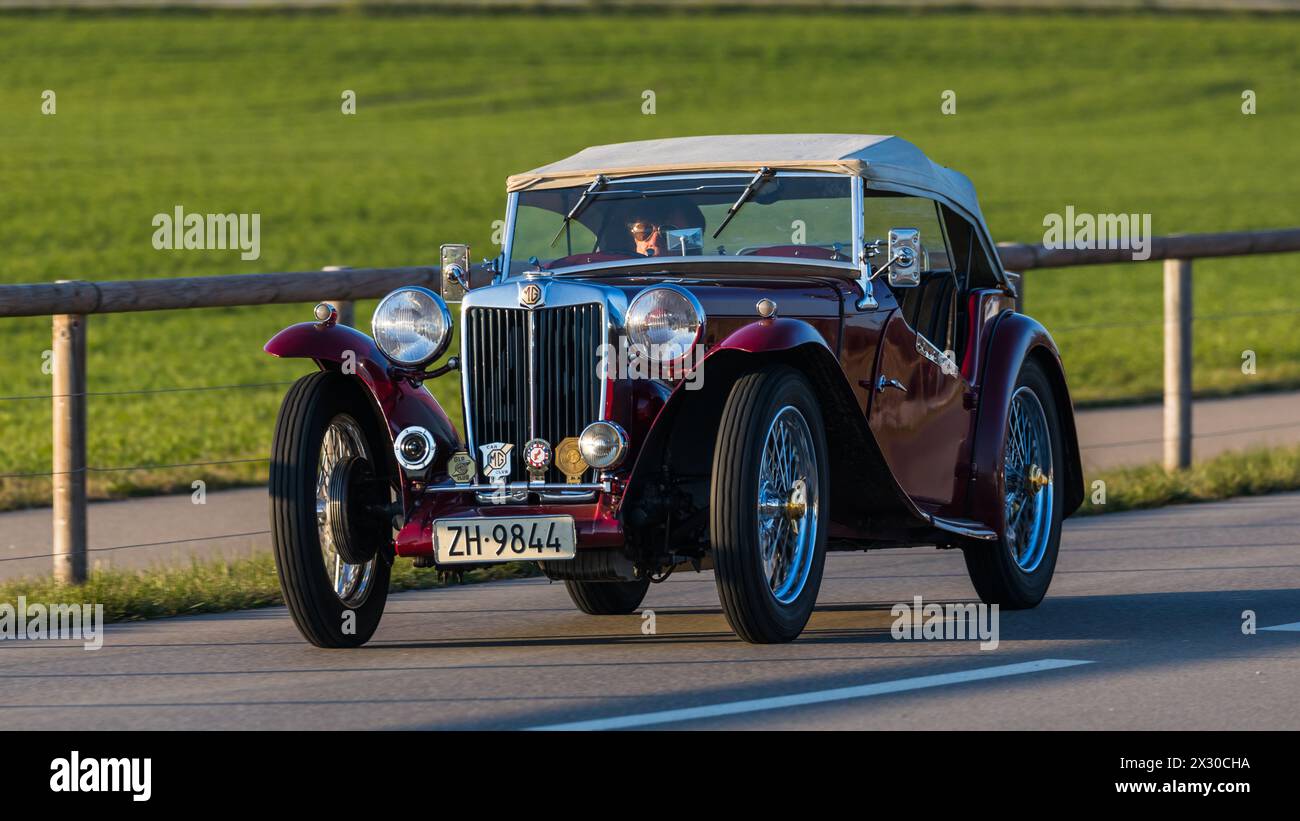 Oberglatt, Schweiz - 23. März 2022: Ein MG TC Oldtimer auf einer Strasse ausserorts im Zürcher Unterland. DAS Fahrzeug wurde im ZeitRaum 1945 bis 1950 Foto Stock