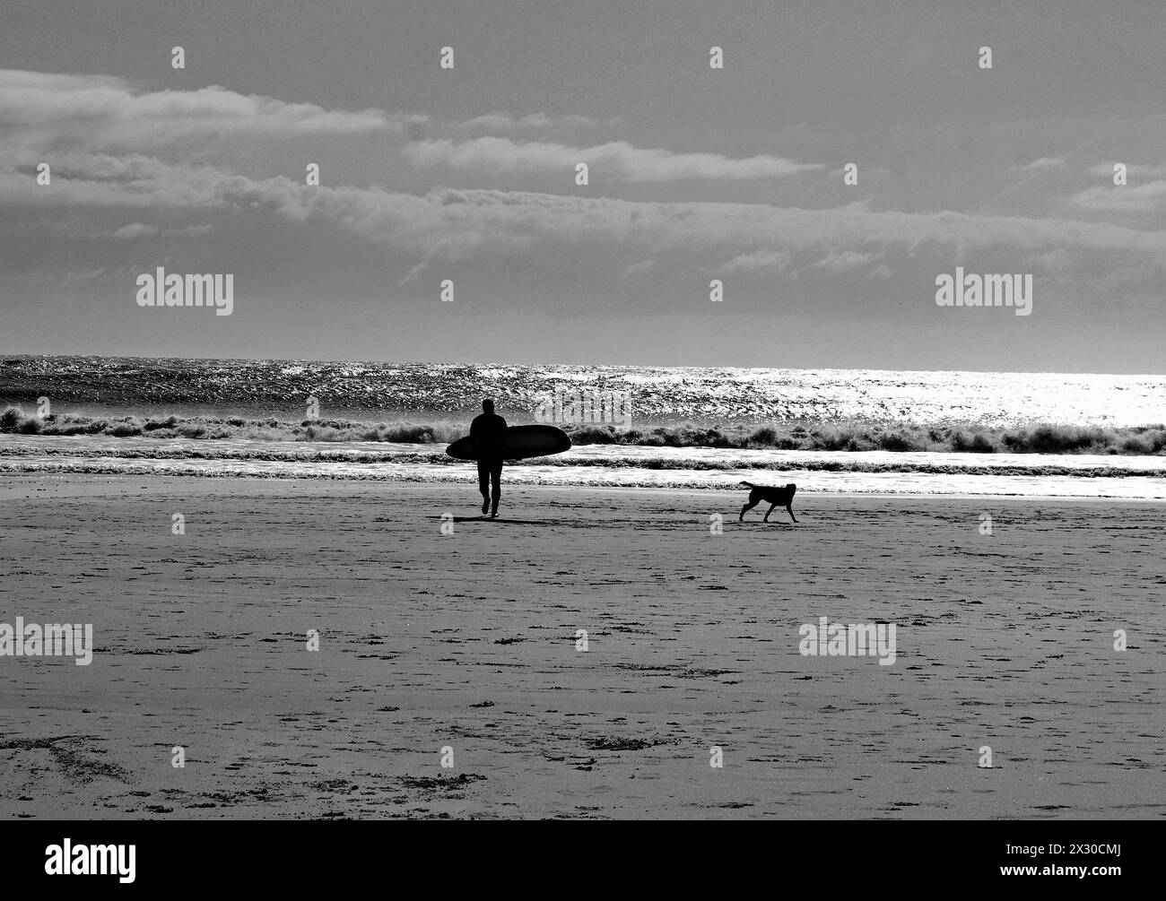 CW 8666 Surfer e cane sulla spiaggia di Seaburn in una mattinata di primavera un surfista cammina sulla spiaggia presso la località balneare di Seaburn senza essere disturbato da un cane che si fa Foto Stock