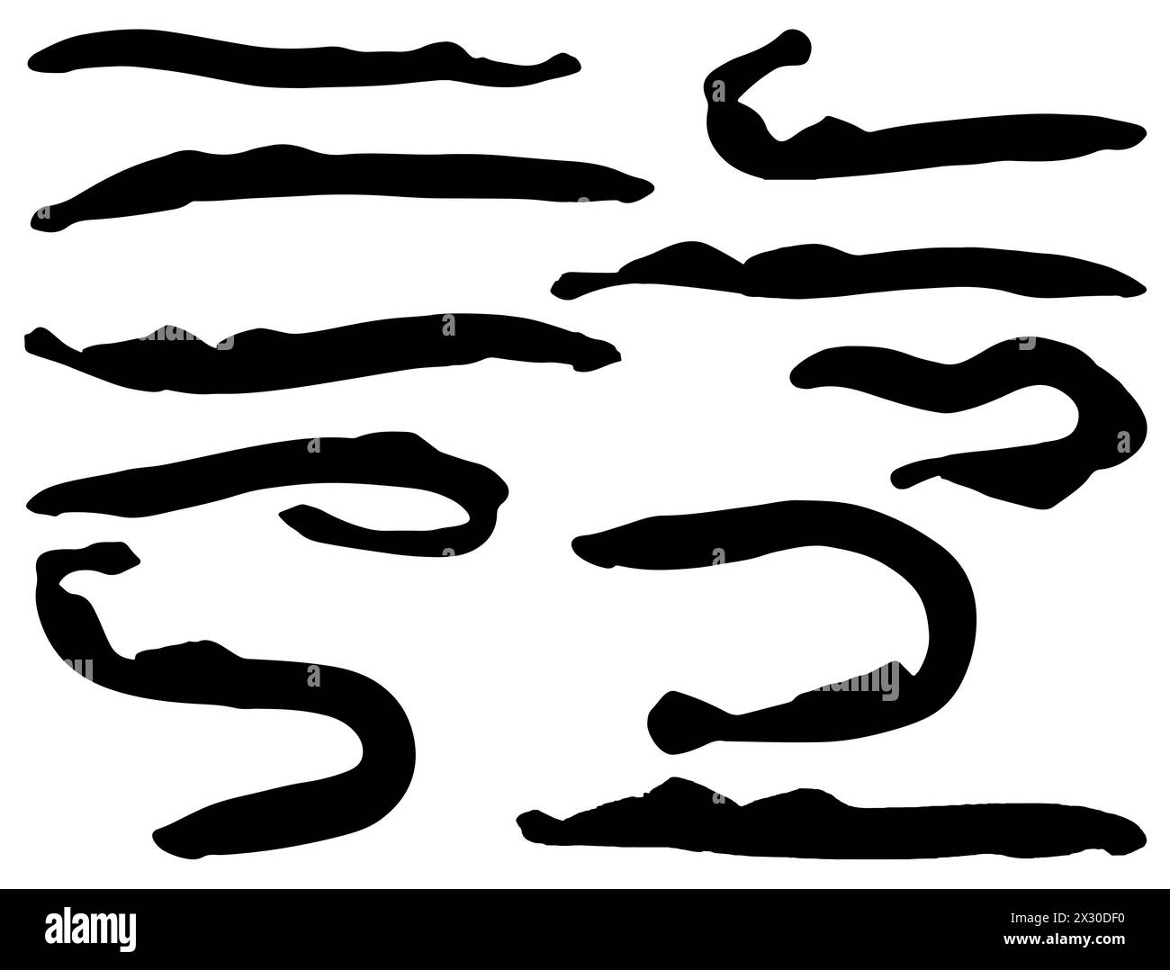Sagoma vettoriale in lamprea marina Illustrazione Vettoriale