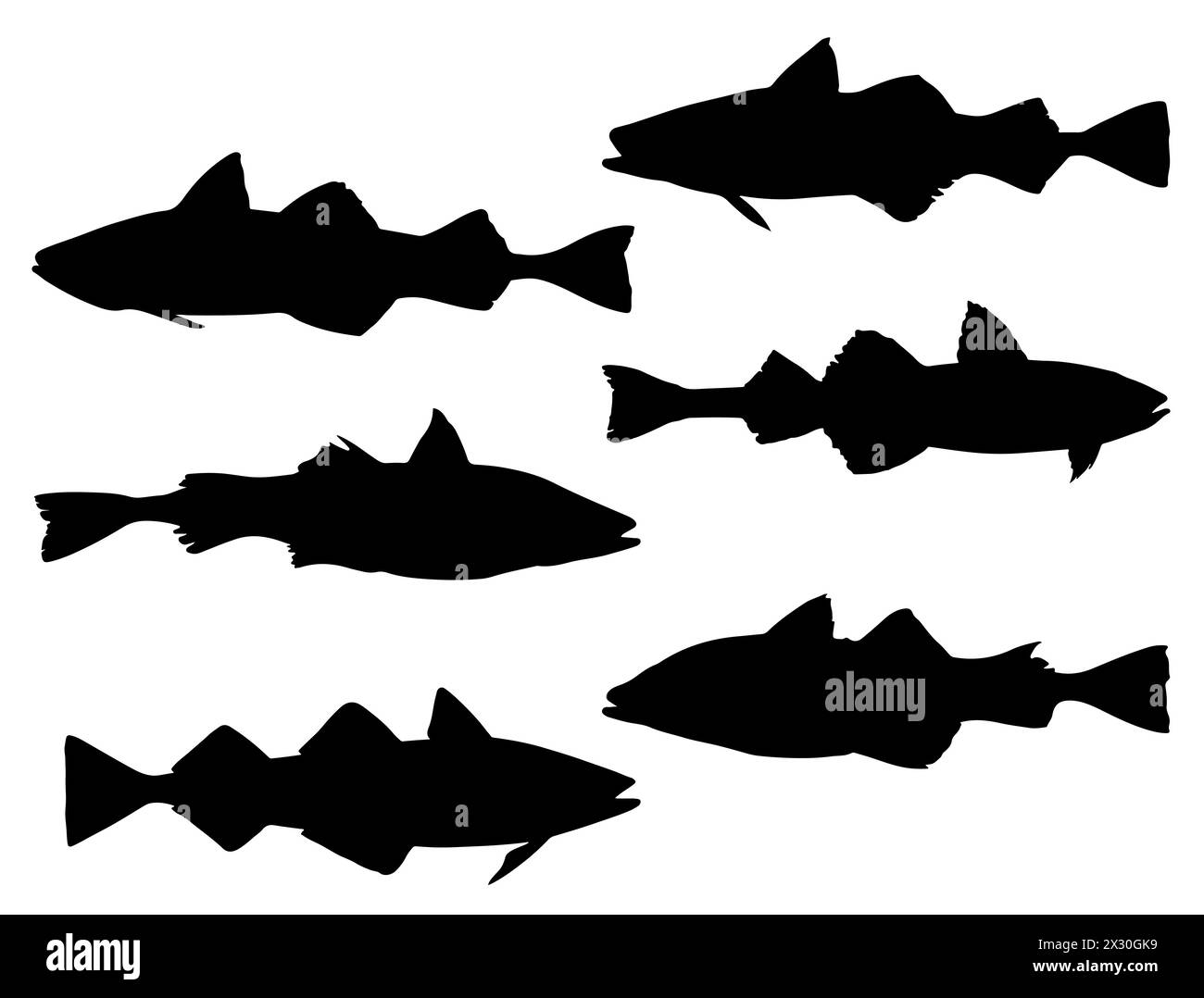 Alaska pollock pesce silhouette vettoriale Illustrazione Vettoriale