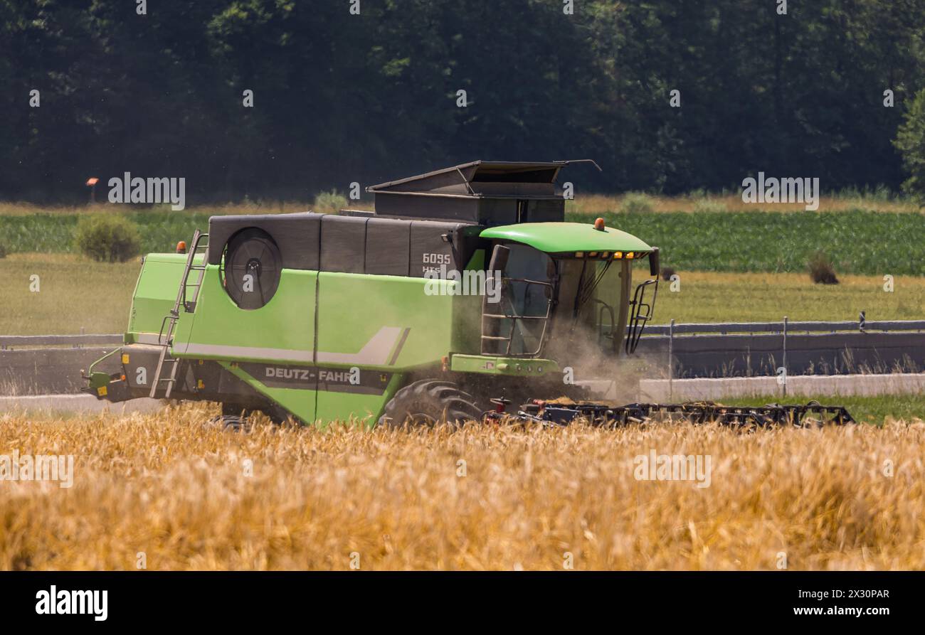 Ein Bauer holt sein Getreide mit dem Mähdrescher ein. (Winkel bei Bülach, Schweiz, 19.06.2022) Foto Stock