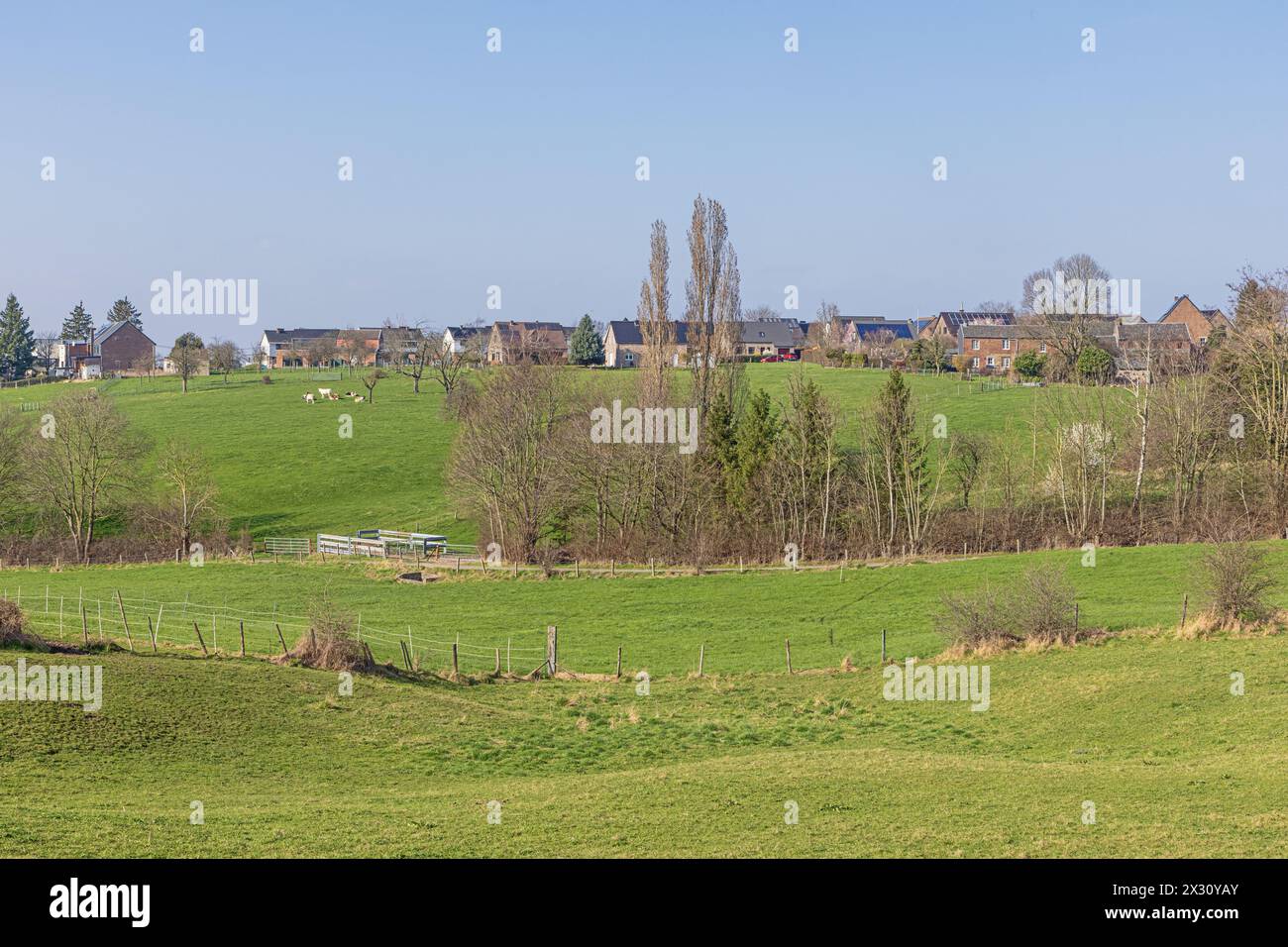 Paesaggio bucolico intorno alla miniera di Blegny, incontaminato dalle ex attività industriali Foto Stock