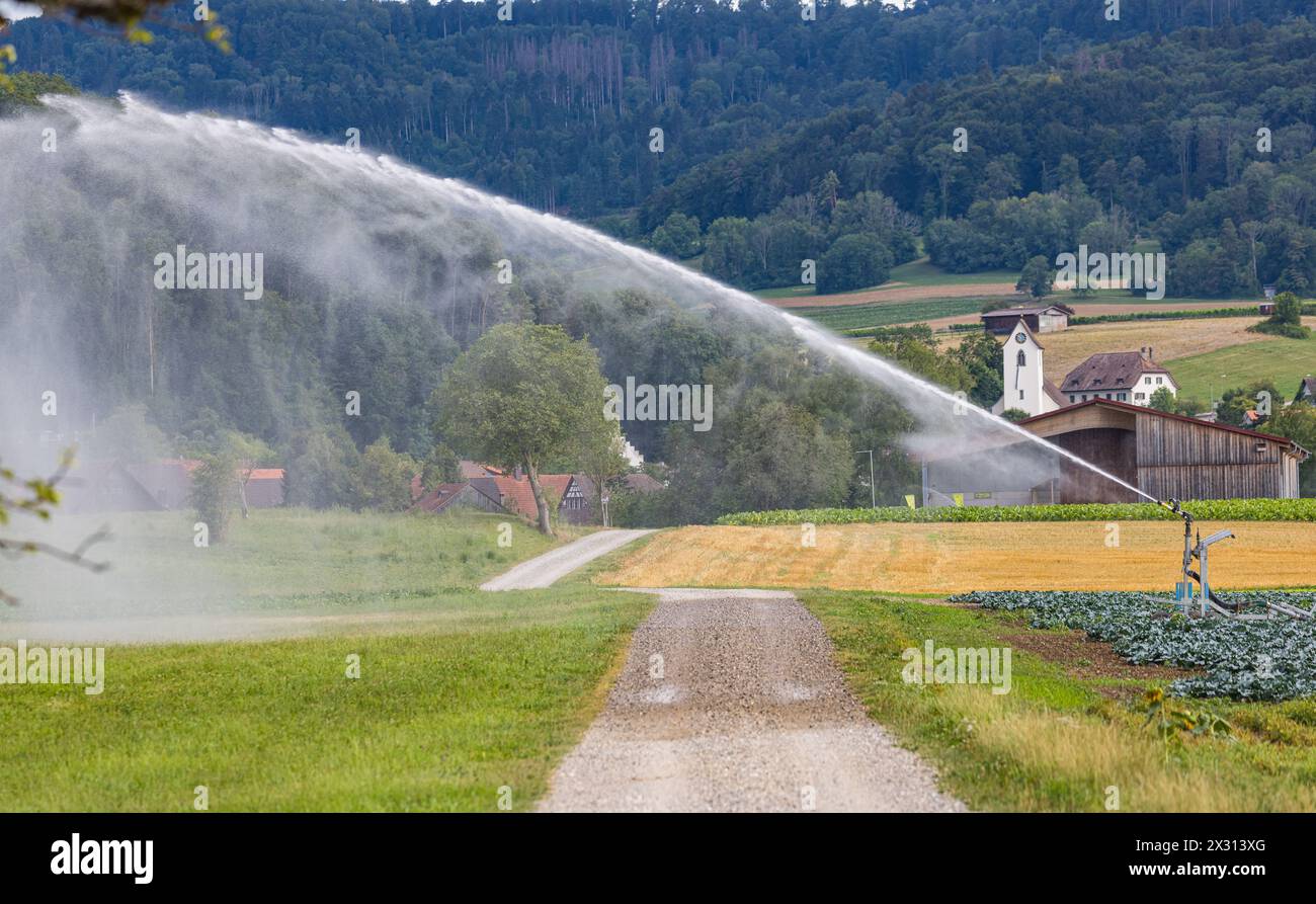 Im Zürcher Weinland bewässt ein Bauer Sein Agrarfeld. (Flaach, Svizzera, 30.07.2022) Foto Stock