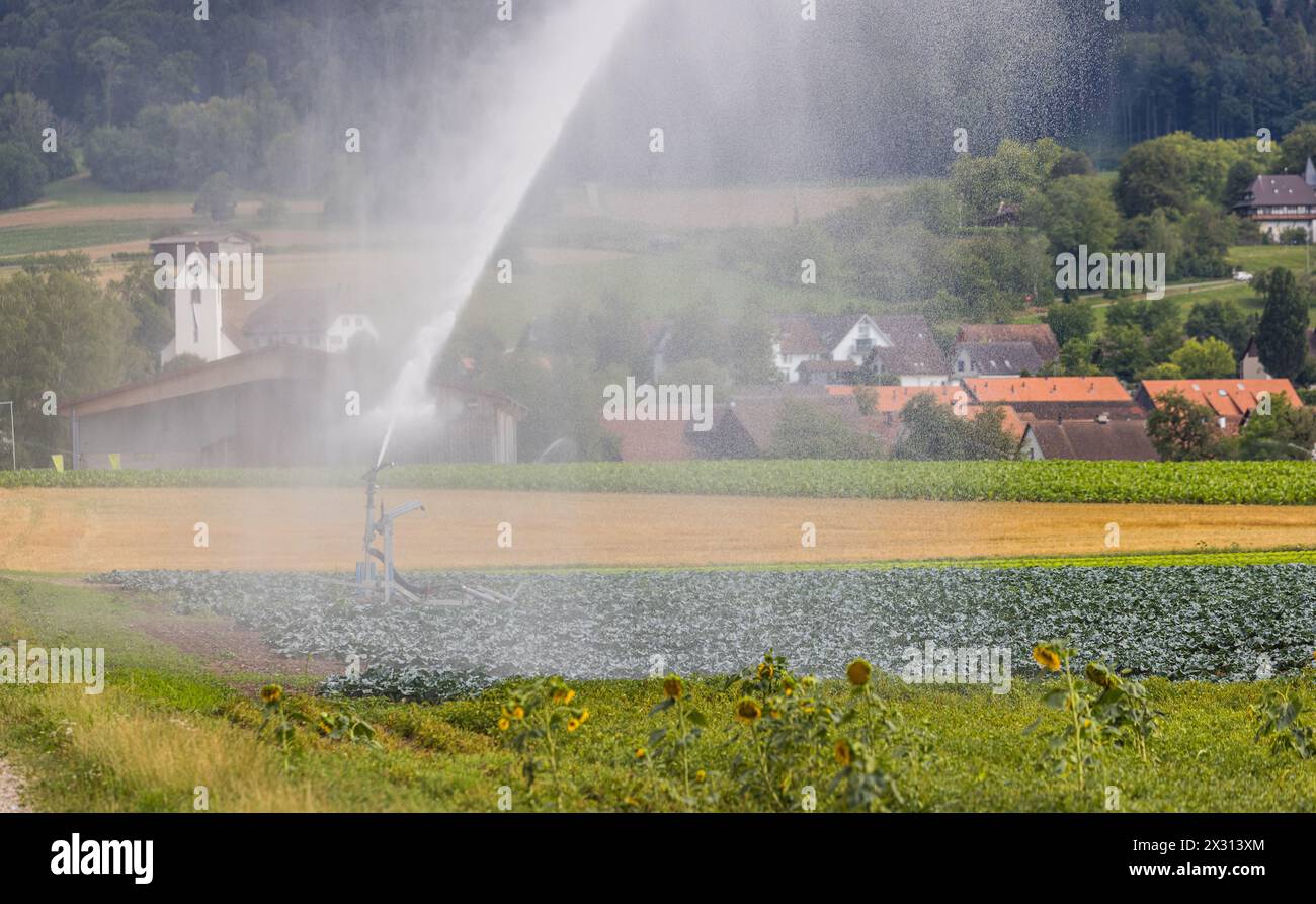 Im Zürcher Weinland bewässt ein Bauer Sein Agrarfeld. (Flaach, Svizzera, 30.07.2022) Foto Stock