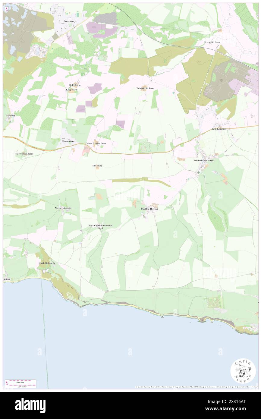 Chaldon Herring, Dorset, GB, Regno Unito, Inghilterra, N 50 39' 9'', S 2 18' 13'', MAP, Cartascapes Map pubblicata nel 2024. Esplora Cartascapes, una mappa che rivela i diversi paesaggi, culture ed ecosistemi della Terra. Viaggia attraverso il tempo e lo spazio, scoprendo l'interconnessione del passato, del presente e del futuro del nostro pianeta. Foto Stock