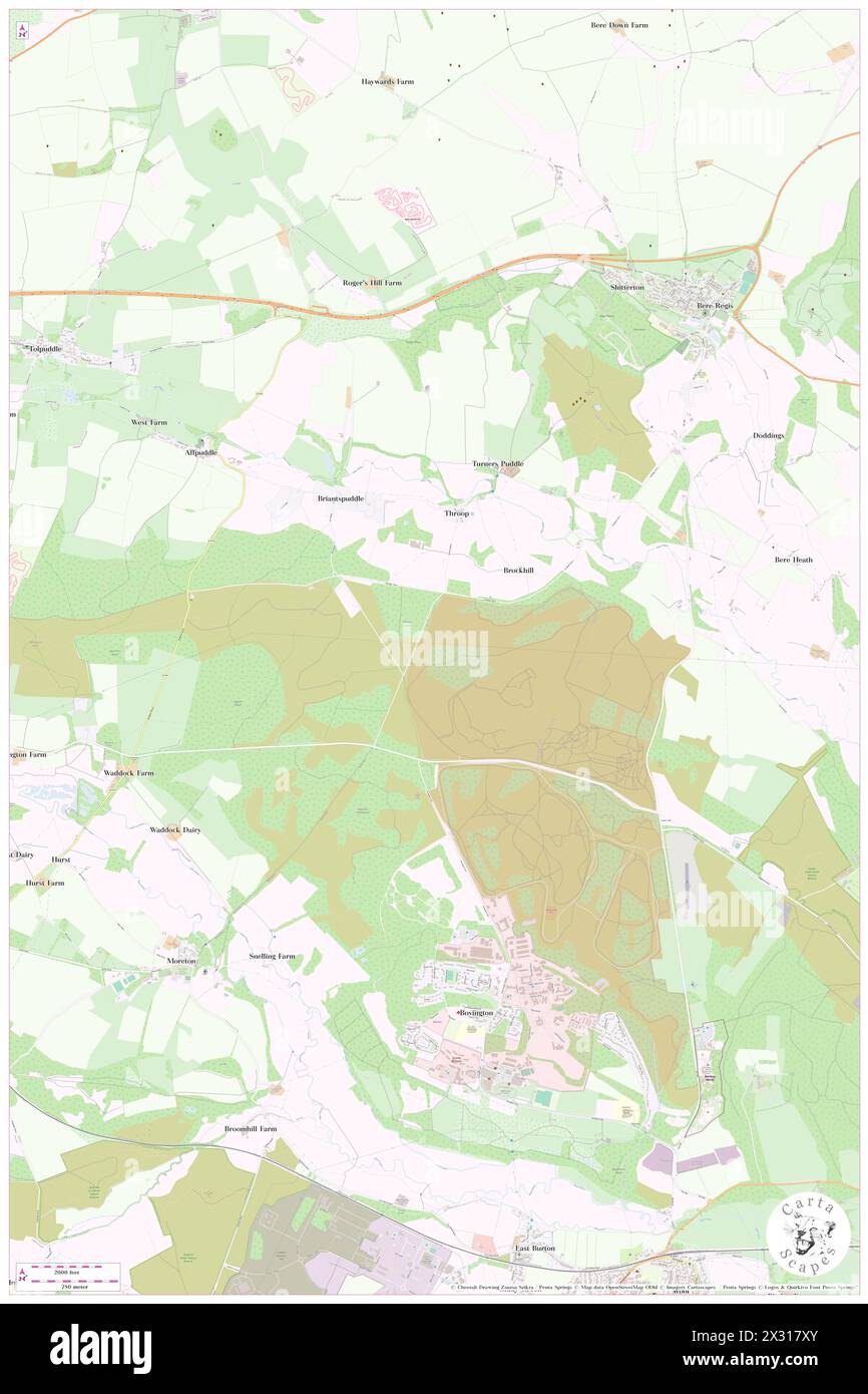 Turners Puddle, Dorset, GB, Regno Unito, Inghilterra, N 50 43' 36'', S 2 14' 58'', MAP, Cartascapes Map pubblicata nel 2024. Esplora Cartascapes, una mappa che rivela i diversi paesaggi, culture ed ecosistemi della Terra. Viaggia attraverso il tempo e lo spazio, scoprendo l'interconnessione del passato, del presente e del futuro del nostro pianeta. Foto Stock