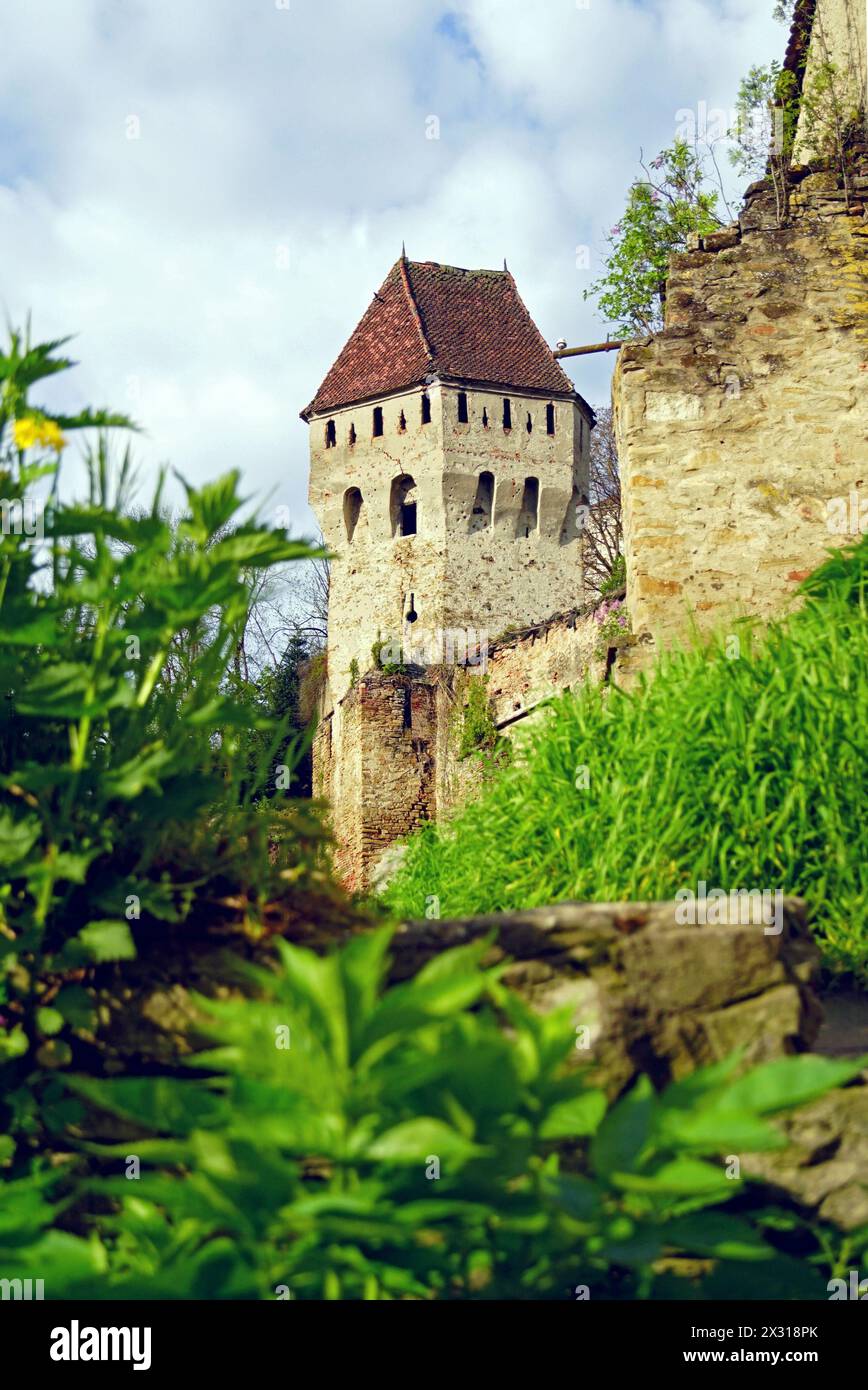Torre dei Tinsmiths in cima alla città vecchia di Sighisoara (Romania) Foto Stock