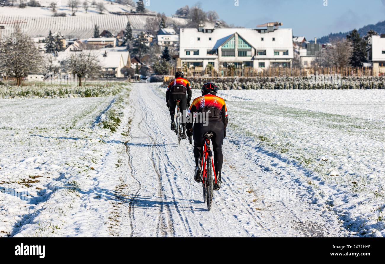 Auf schneebedeckter Strasse fahren zwei Personen bei winterlichen Strassenverhältnisse mit dem Rennrad. (Rafz, Schweiz, 11.12.2022) Foto Stock