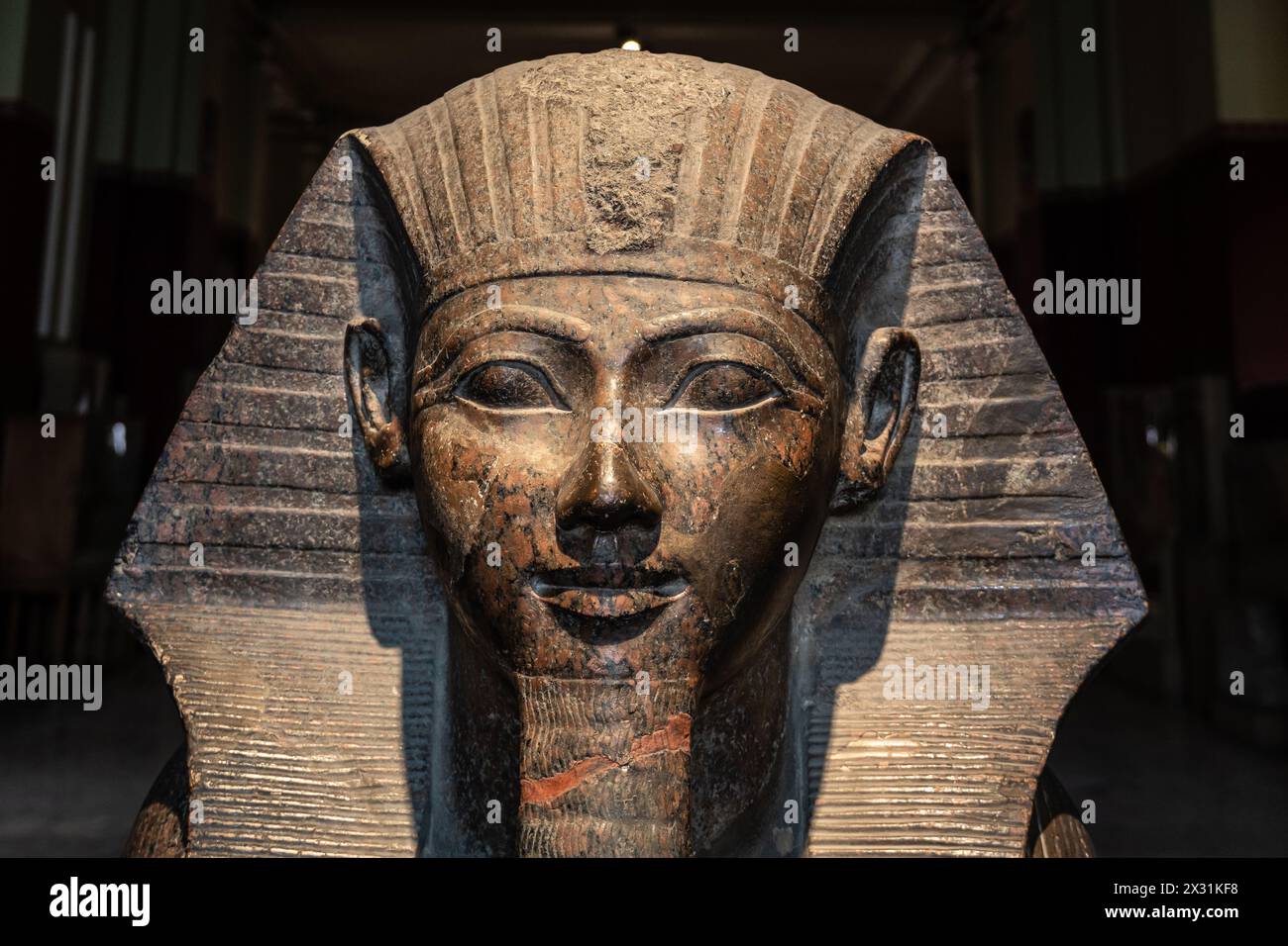 Cairo, Egitto - 14 novembre 2023: La Sfinge di granito di Hatshepsut è esposta nel Museo egizio del Cairo, capitale dell'Egitto Foto Stock