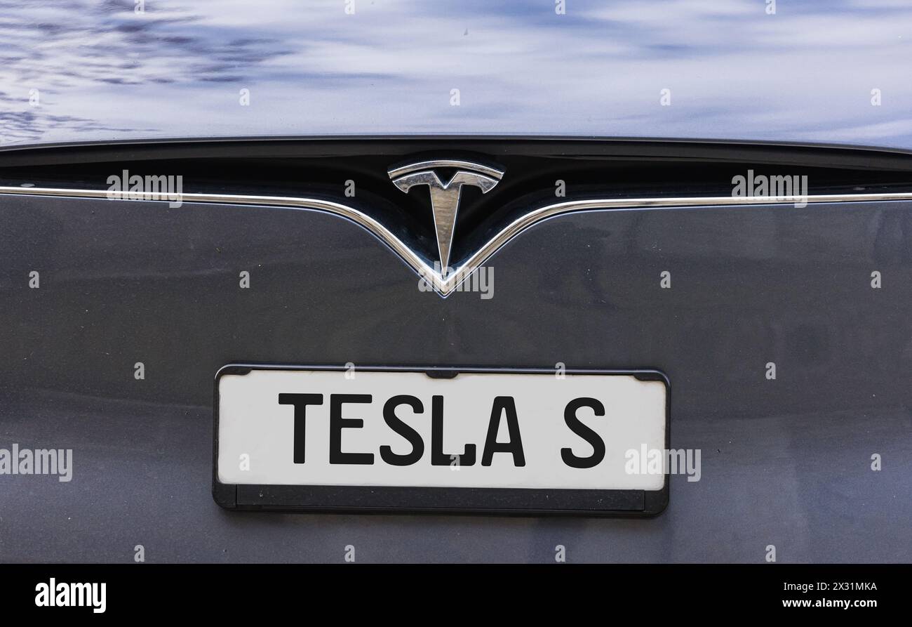 Logo des Elektroautoherstellers Tesla an einem Fahrzeug. (Sciaffusa, Svizzera, 06.11.2022) Foto Stock