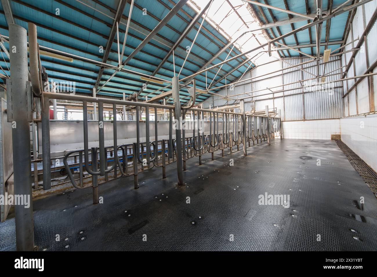 Hangar vuoto con attrezzature per mungere le mucche Foto Stock