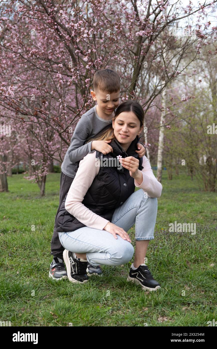 Il figlio dà a sua madre un piccolo fiore di ciliegio in primavera Foto Stock