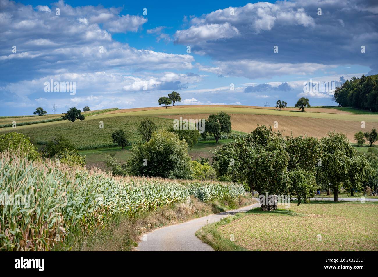 Geografia / viaggi, Germania, ATTENZIONE! PER L'USO DI GREETINGCARD/CARTOLINA NEI PAESI DI LINGUA TEDESCA POTREBBERO ESSERE APPLICATE ALCUNE RESTRIZIONI Foto Stock