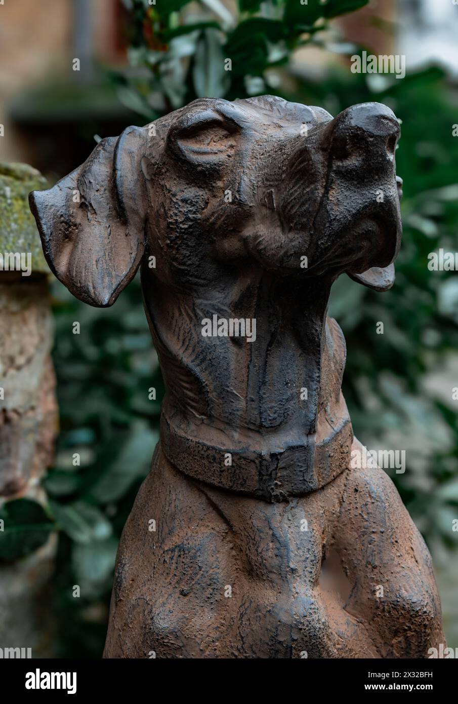 Loyal Guardian: A Dog's Grace congelata nella pietra Foto Stock
