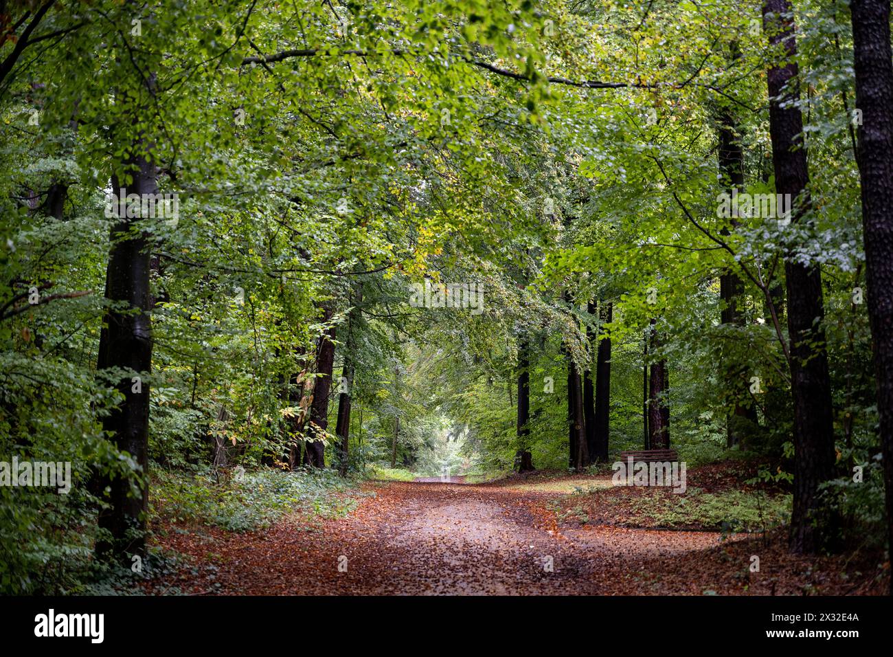 Geografia / viaggi, Germania, ATTENZIONE! PER L'USO DI GREETINGCARD/CARTOLINA NEI PAESI DI LINGUA TEDESCA POTREBBERO ESSERE APPLICATE ALCUNE RESTRIZIONI Foto Stock