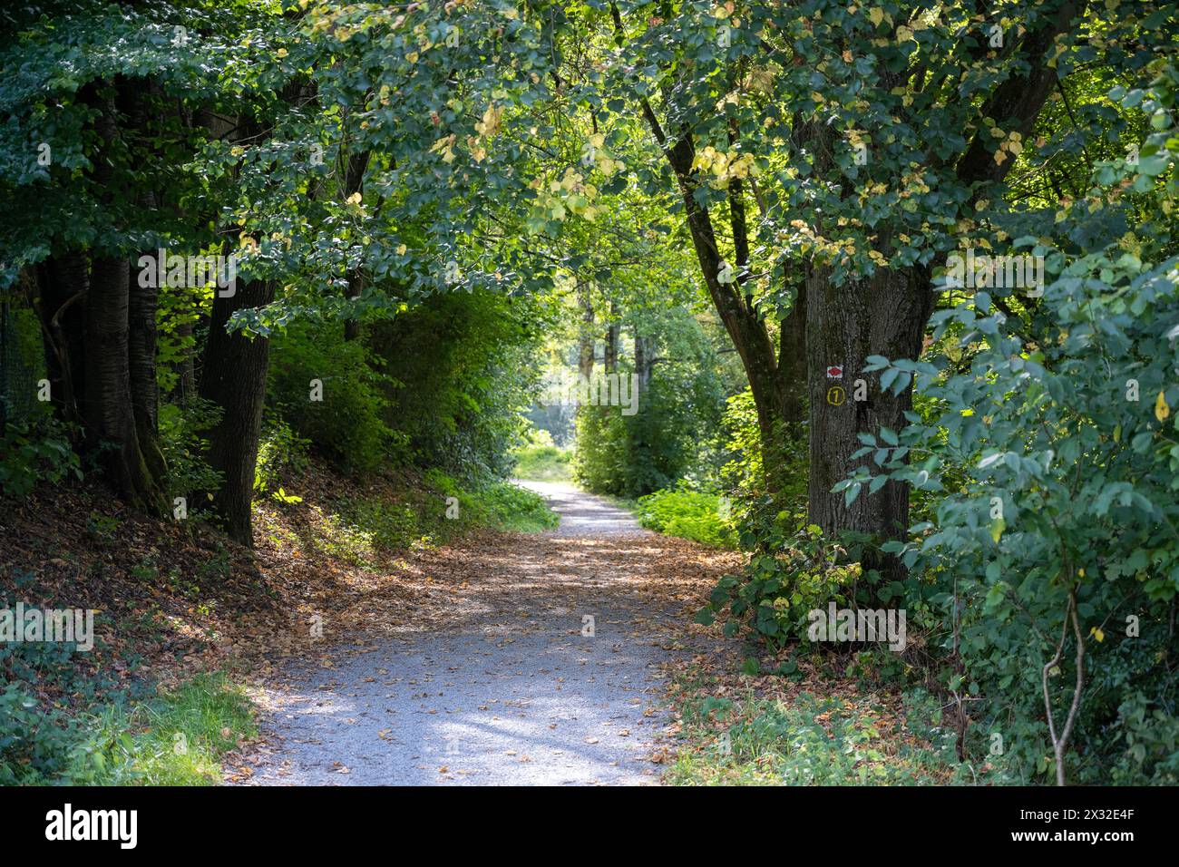 Geografia / viaggi, Germania, ATTENZIONE! PER L'USO DI GREETINGCARD/CARTOLINA NEI PAESI DI LINGUA TEDESCA POTREBBERO ESSERE APPLICATE ALCUNE RESTRIZIONI Foto Stock