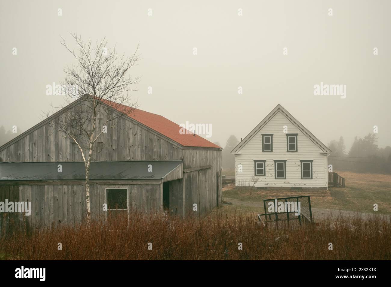 Una piccola fattoria in una giornata nebbiosa, Beals Island, Maine Foto Stock