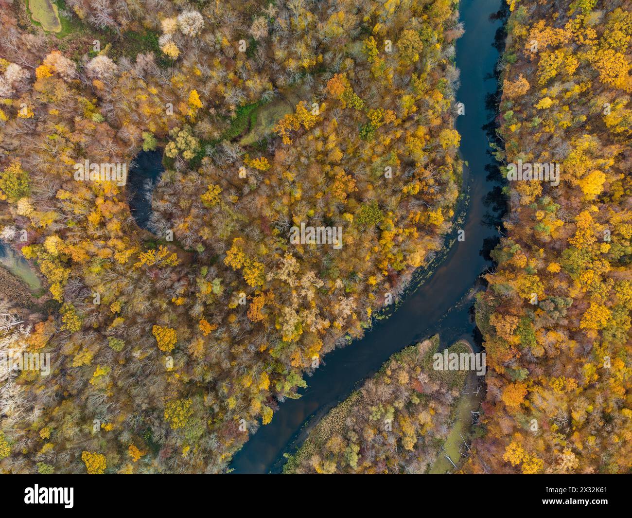 Vista aerea autunnale lungo la curva del fiume con le colorate rive boscose Foto Stock