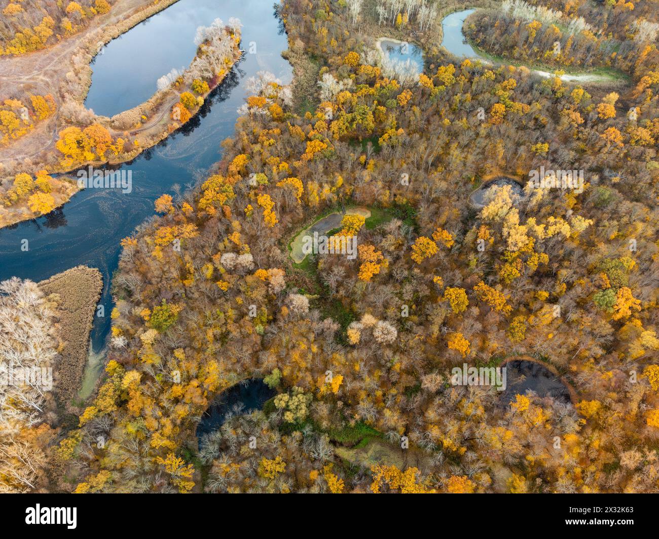 Vista aerea verso il basso sulla valle del fiume con laghi e foresta dorata autunnale sulle rive del fiume Foto Stock
