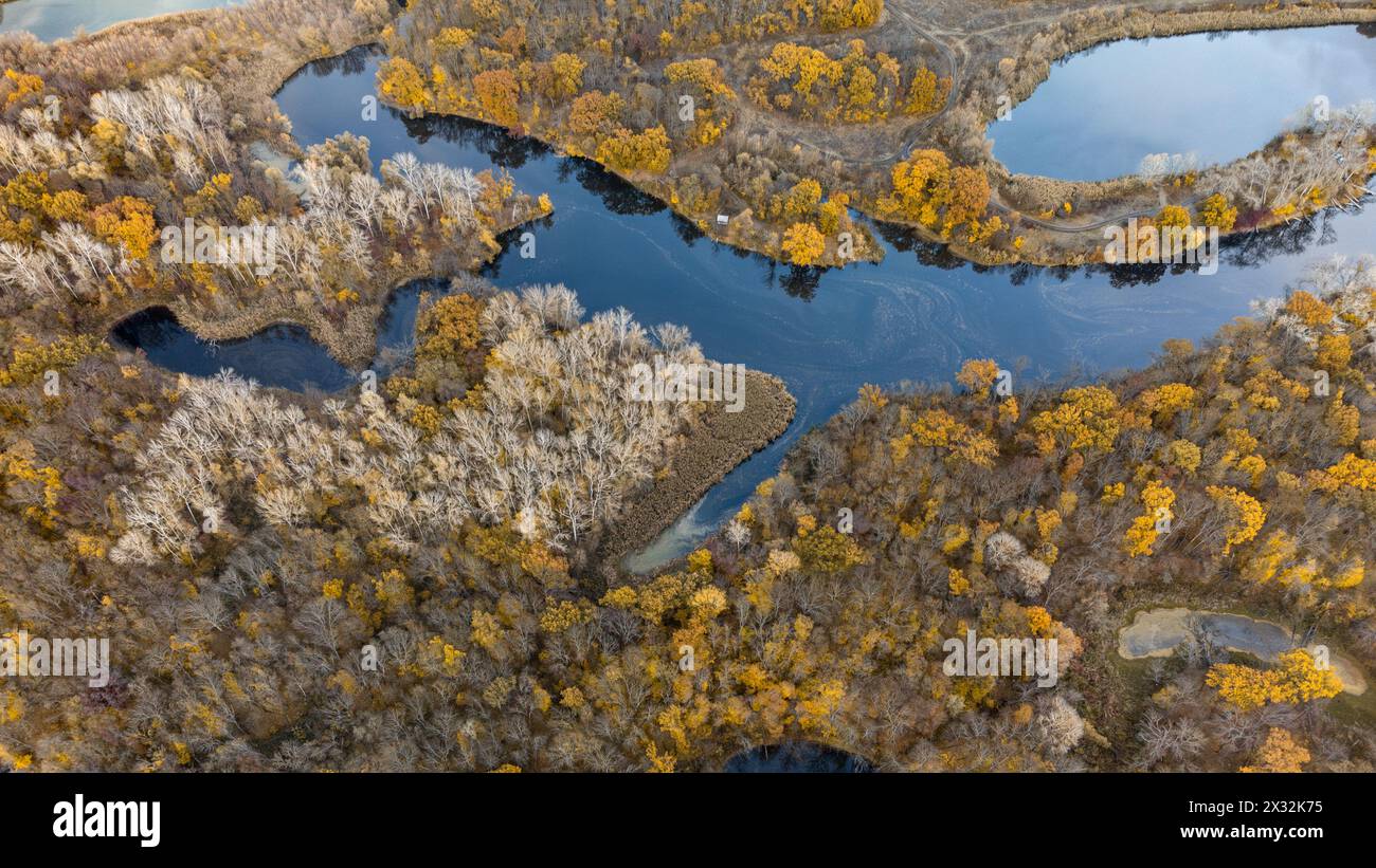 Vista aerea lungo le curve del fiume con alberi d'oro autunnali sulle rive del fiume Foto Stock