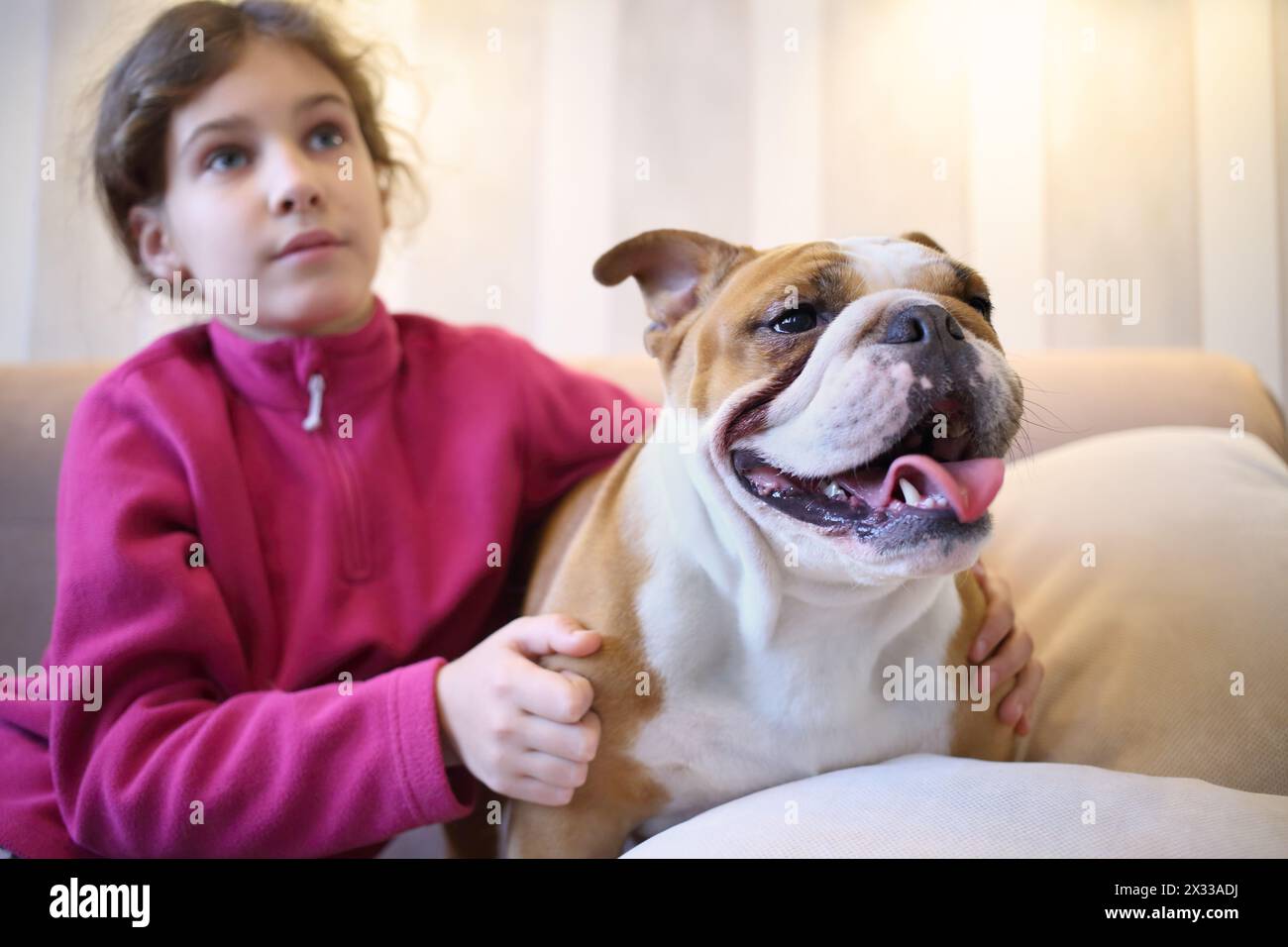 La ragazza e il bulldog inglese seduti su un divano in camera, si concentrano sul cane Foto Stock