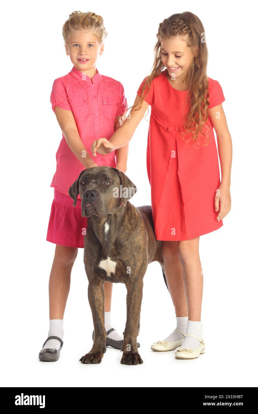 Due bellissime ragazze accarezzano gioiosamente una testa di cani grossi isolata sul bianco. Concentrati sul cane Foto Stock