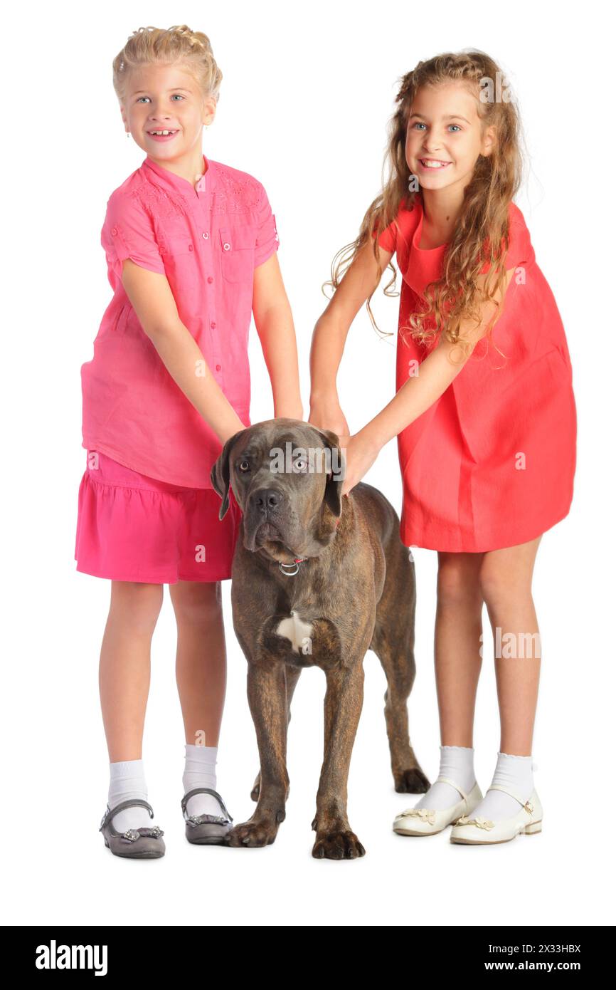 Due ragazze che tengono un grosso cane vicino al collare, isolate sul bianco. Concentrati sul cane Foto Stock