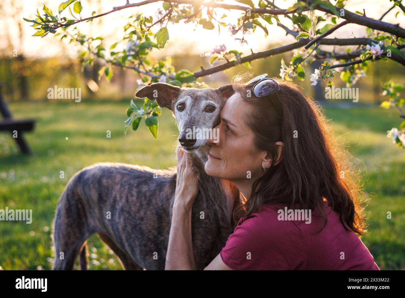 La donna sta abbracciando il suo vecchio cane con amore. Il proprietario di un animale domestico e il cinodromo spagnolo insieme all'aperto. Amicizia tra persone e animali Foto Stock