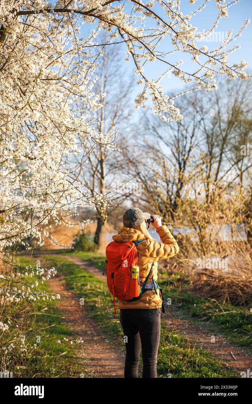 Turismo ecologico. Una donna escursionista con binocolo osserva gli uccelli che arrivano al lago in primavera. Osservazione di uccelli selvatici Foto Stock