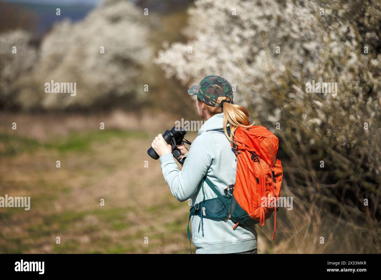 Birdwatching. Una donna ornitologa con binocolo osserva gli uccelli che arrivano in primavera nella natura fiorente Foto Stock