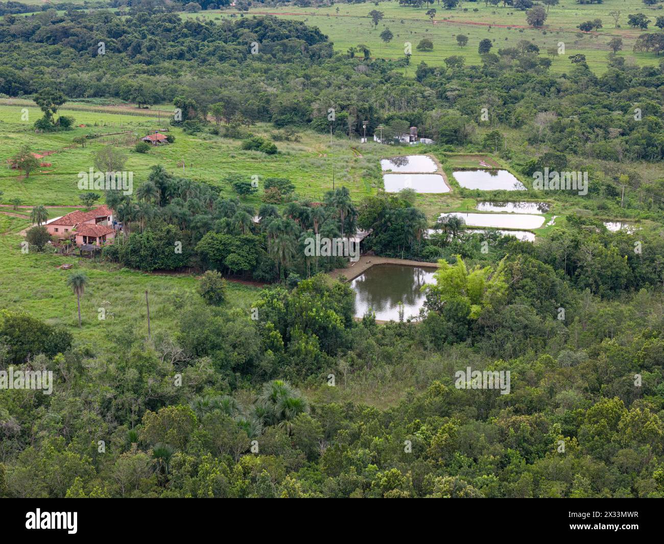 Itaja, Goias, Brasile - 04 13 2024: Immagine aerea del pesce e della paga nelle vasche di pesca delle zone rurali Foto Stock