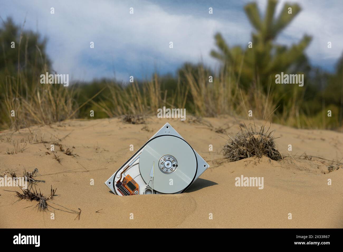 lost e brocken computer hard disk nella sabbia sul prato nella foresta Foto Stock