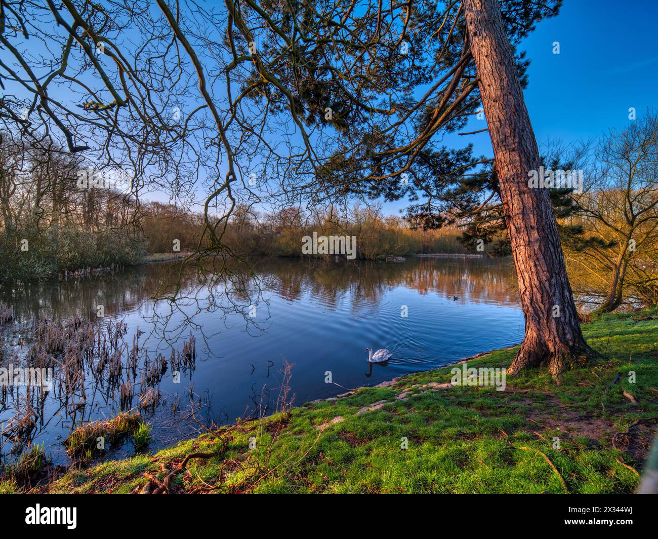 Swithland Reservoir, Swithland, Leicestershire Foto Stock