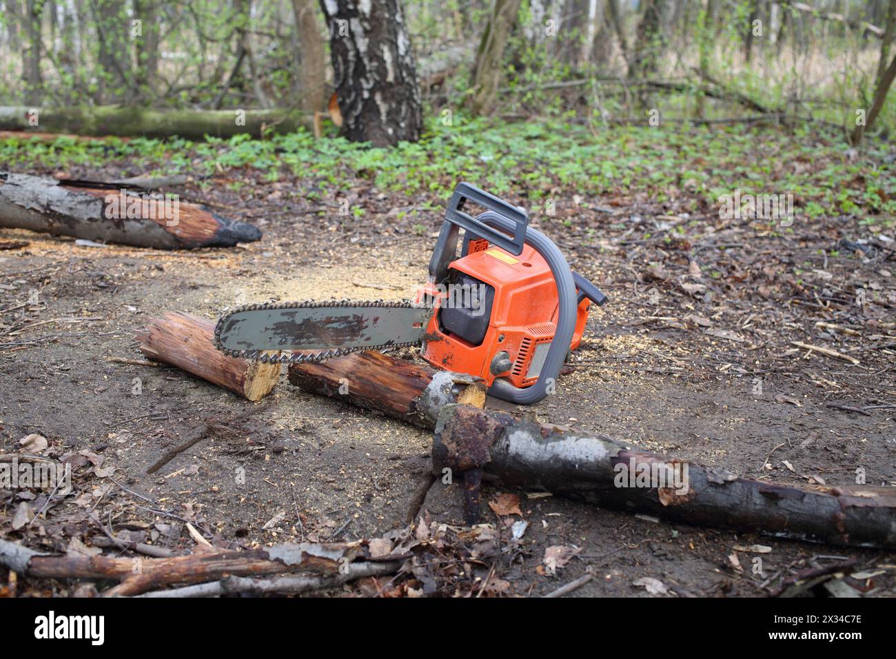 Motosega stesa a terra vicino all'albero sezionato secco nella foresta Foto Stock