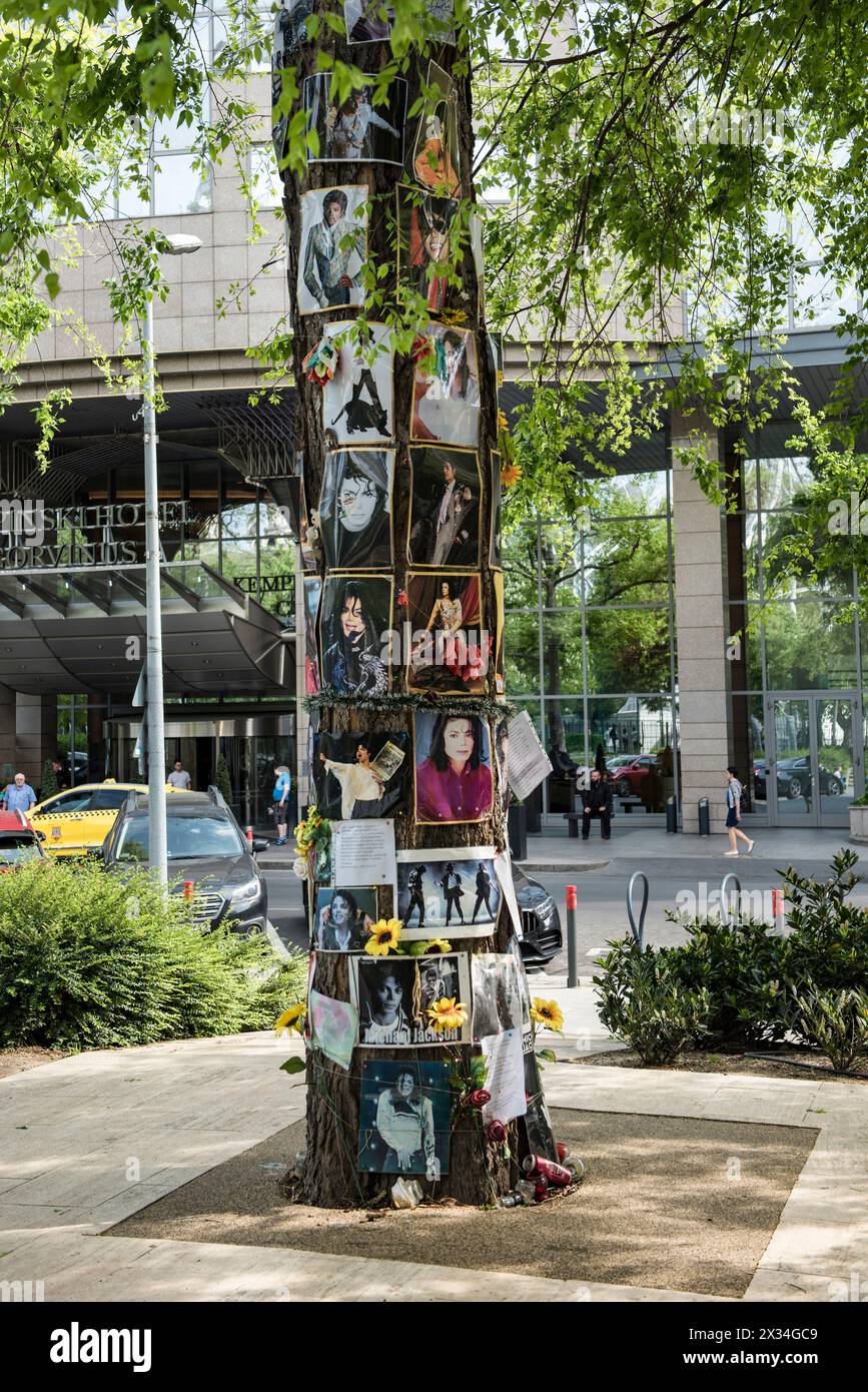 Michael Jackson Memorial Tree a Budapest, Ungheria Foto Stock