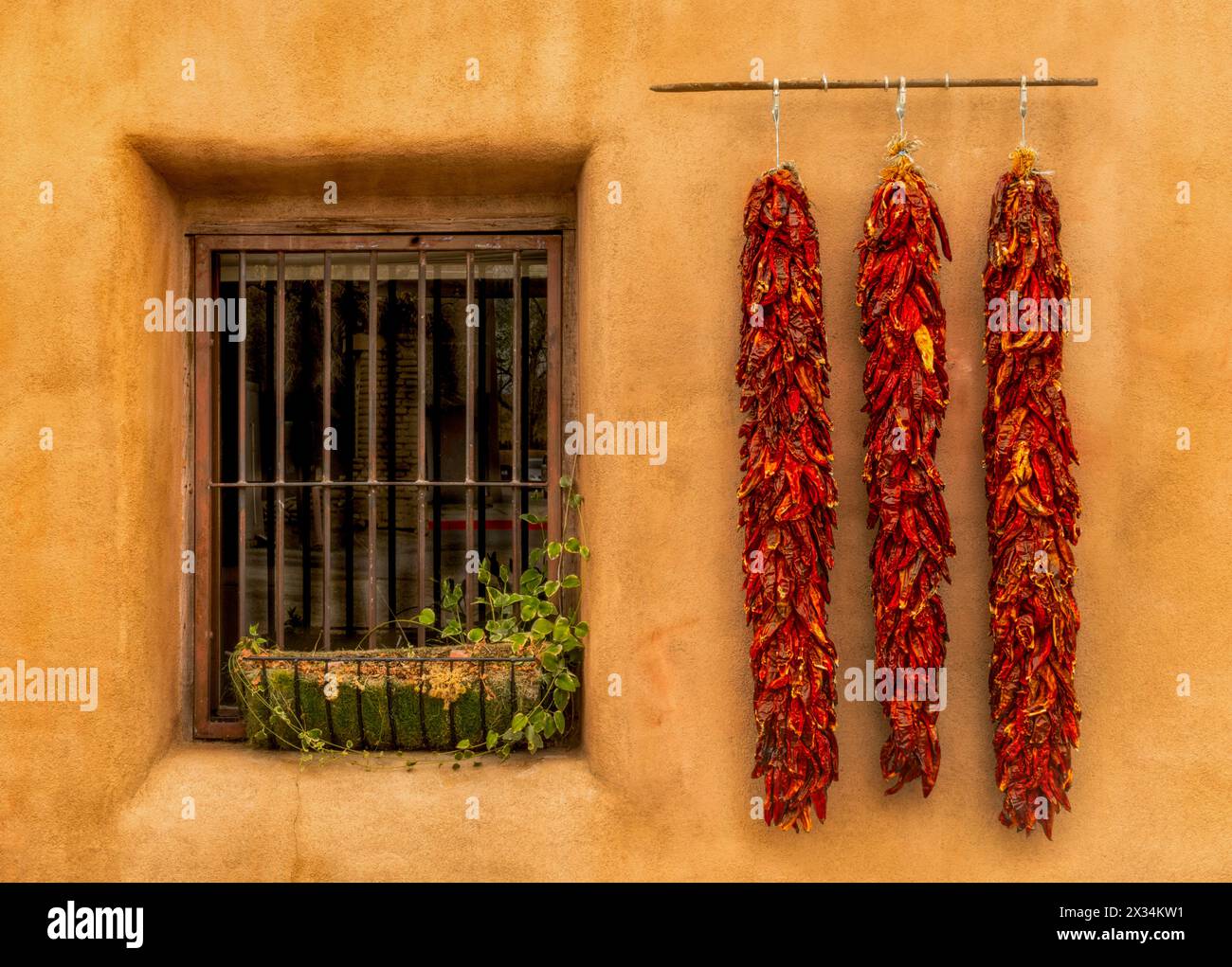 Peperoncini secchi appesi su un muro a Oldtown Albuquerque, New Mexico. Foto Stock