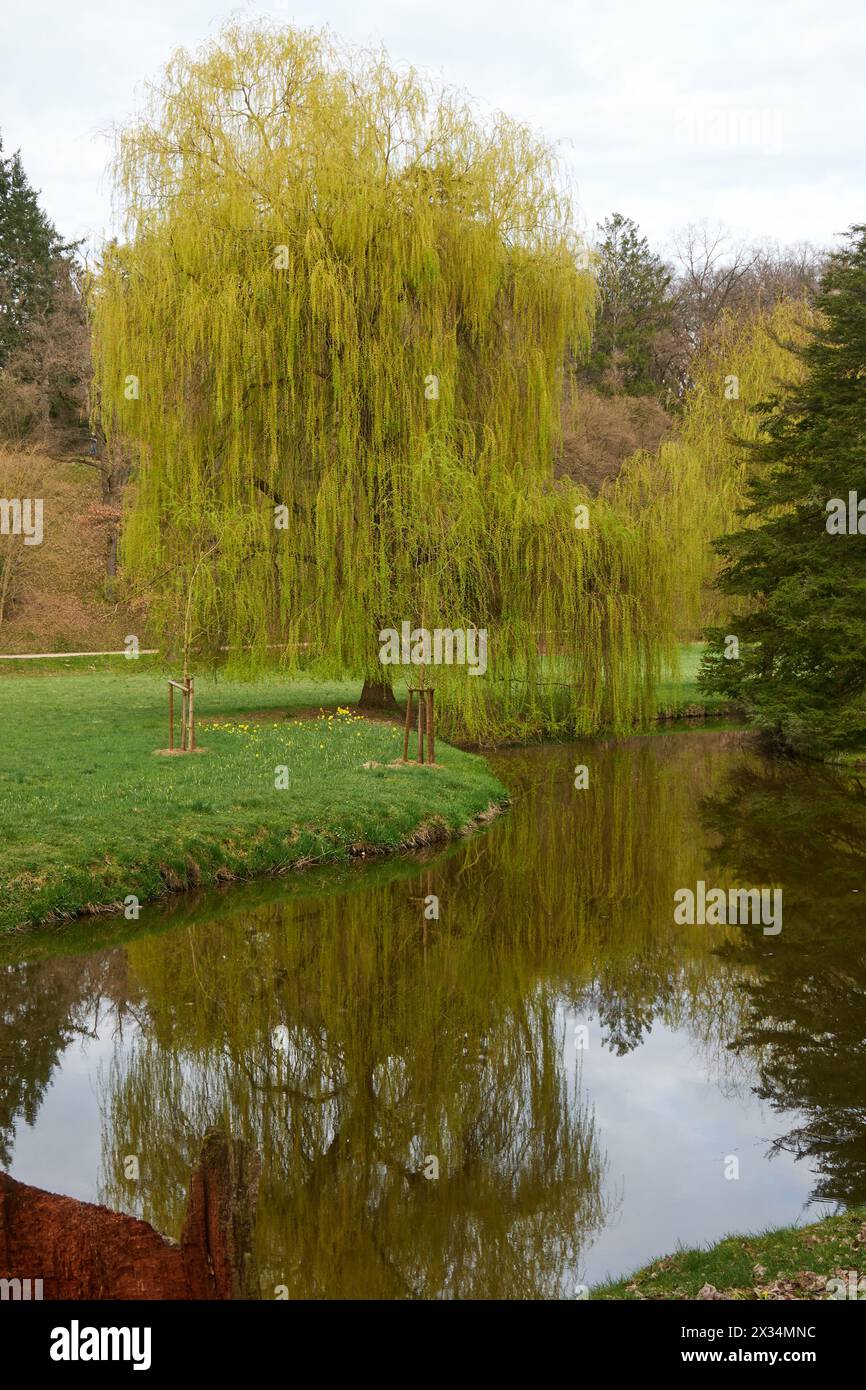 Pruhonice, Repubblica Ceca - 29 marzo 2024 - Parco del Castello di Pruhonice vicino a Praga all'inizio della primavera Foto Stock