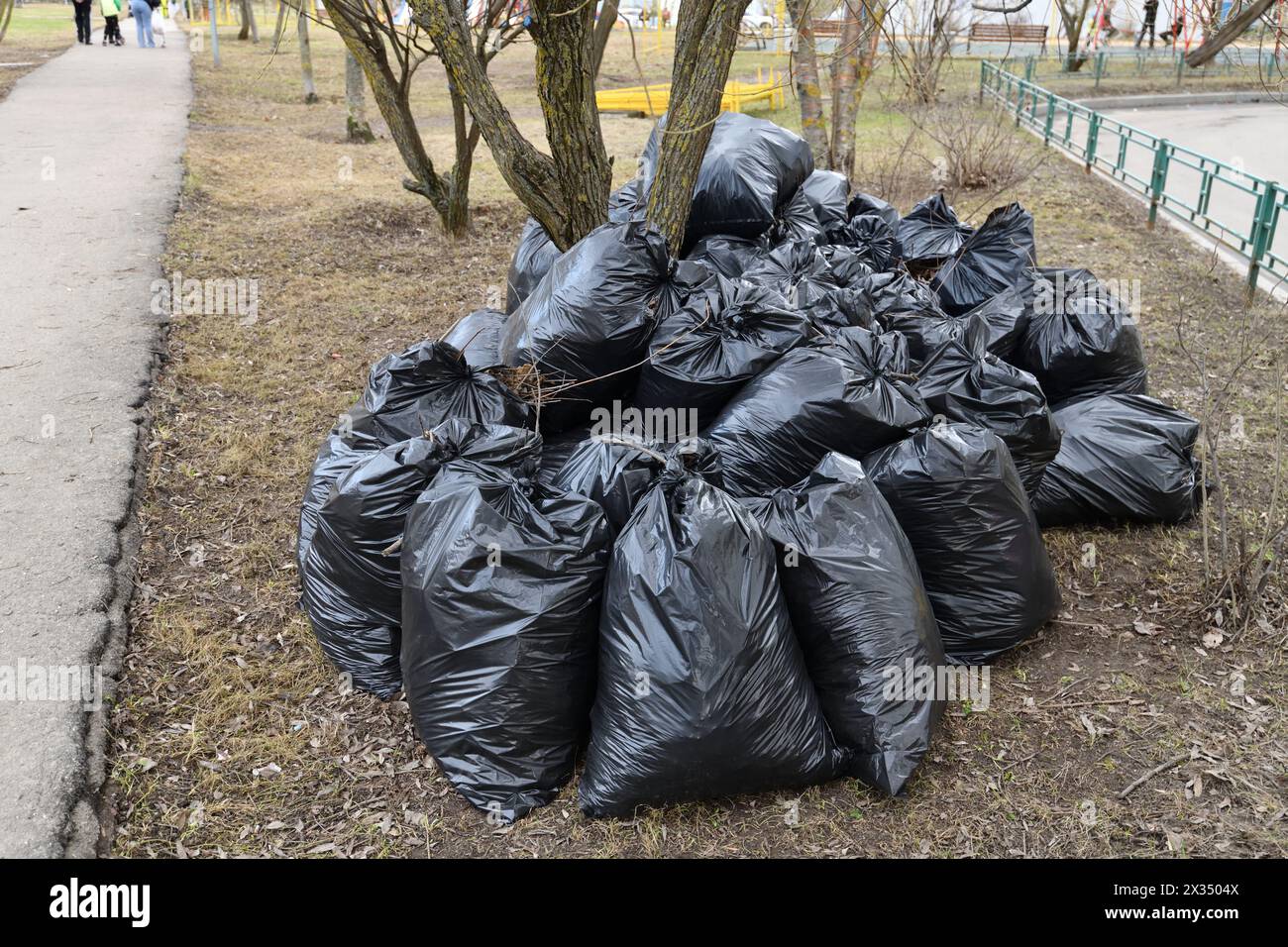 La spazzatura primaverile e le foglie dell'anno scorso in sacchi neri vicino all'albero Foto Stock