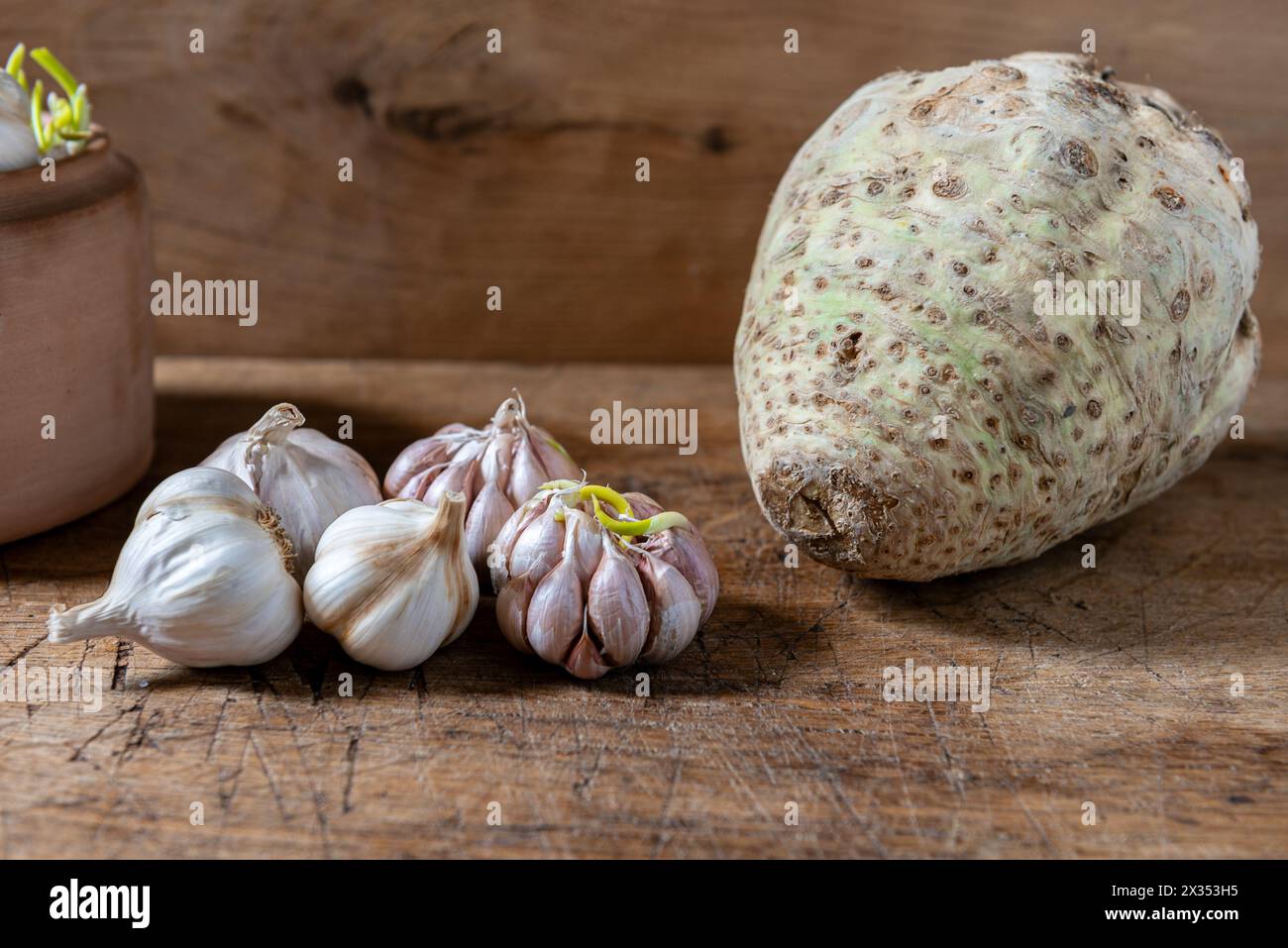 Aglio biologico e radice di sedano fresco su un tavolo rustico in legno. Background alimentare. Foto Stock