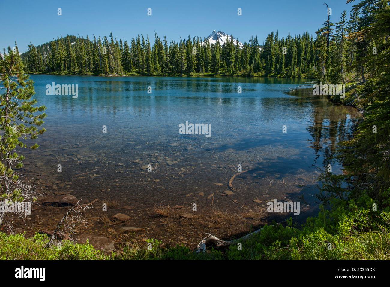 Il monte Jefferson visto dal lago Gibson nella riserva indiana di Warm Springs Foto Stock