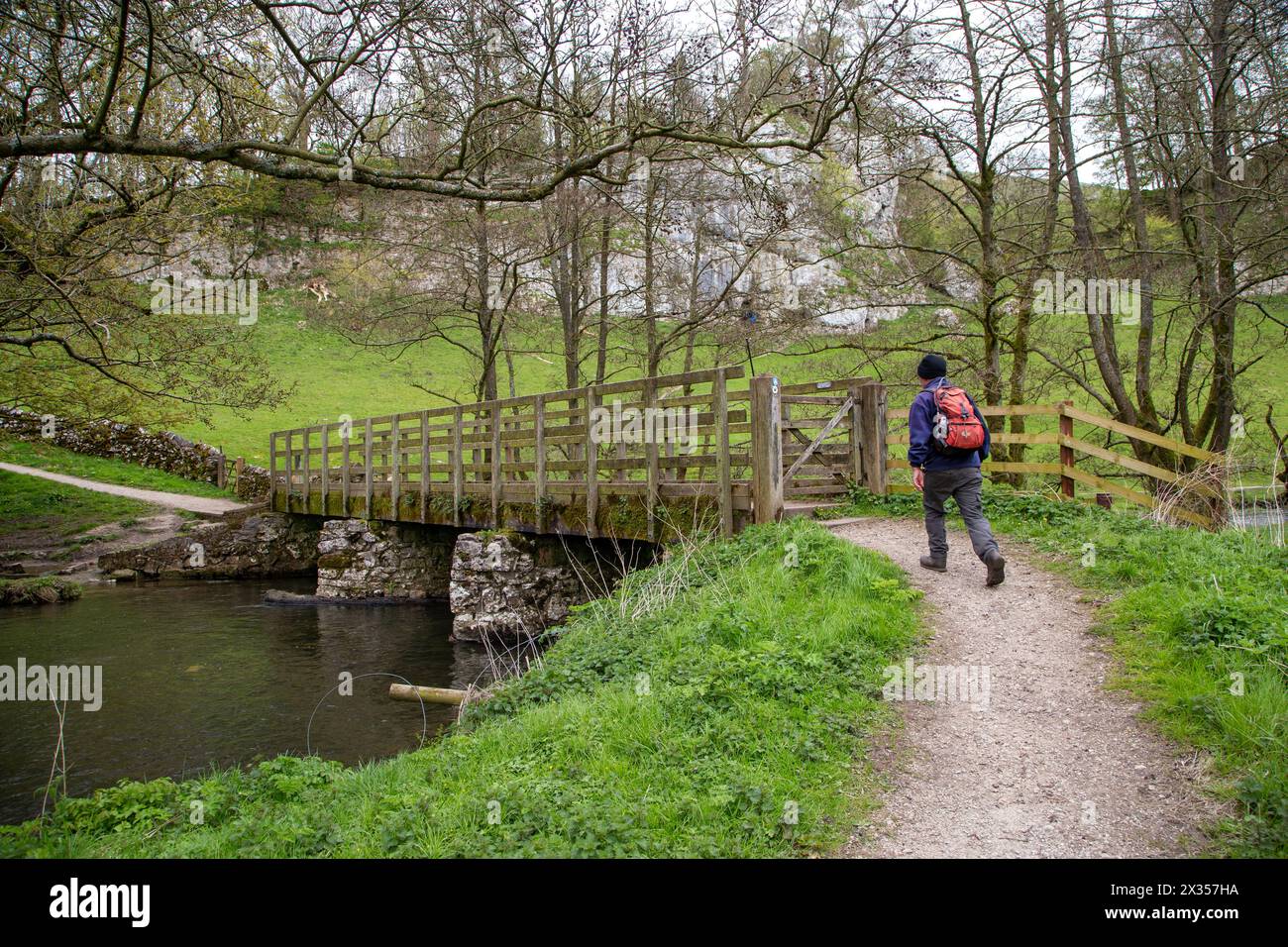 Uomo che cammina con lo zaino in spalla e si avvicina a una passerella in legno sul fiume dove nel English Peak District, Derbyshire, Inghilterra Foto Stock
