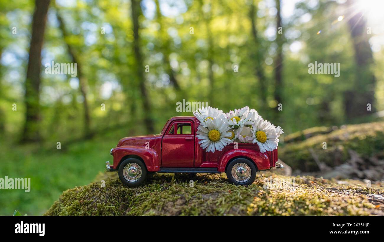 Un'auto rossa retrò trasporta fiori a margherita nella foresta magica Foto Stock