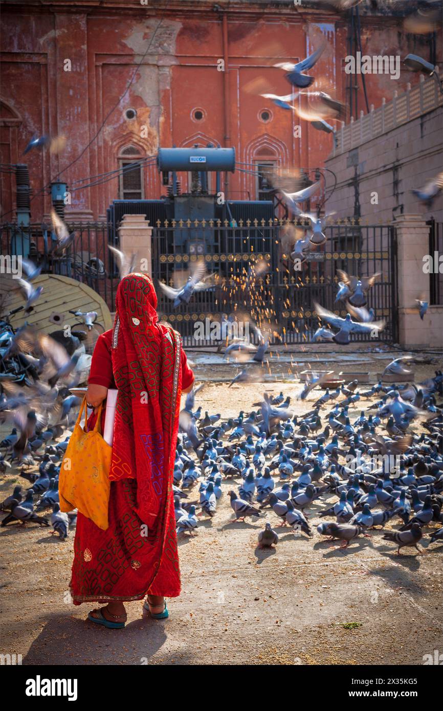 Donna indiana in sari che dà da mangiare ai piccioni in stree Foto Stock